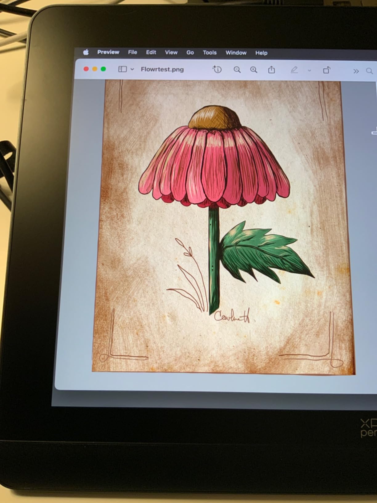 XPPen Artist Pro 14 Gen2 Drawing Tablet with Screen 14 inch Graphic Art Tablet customer photo 1