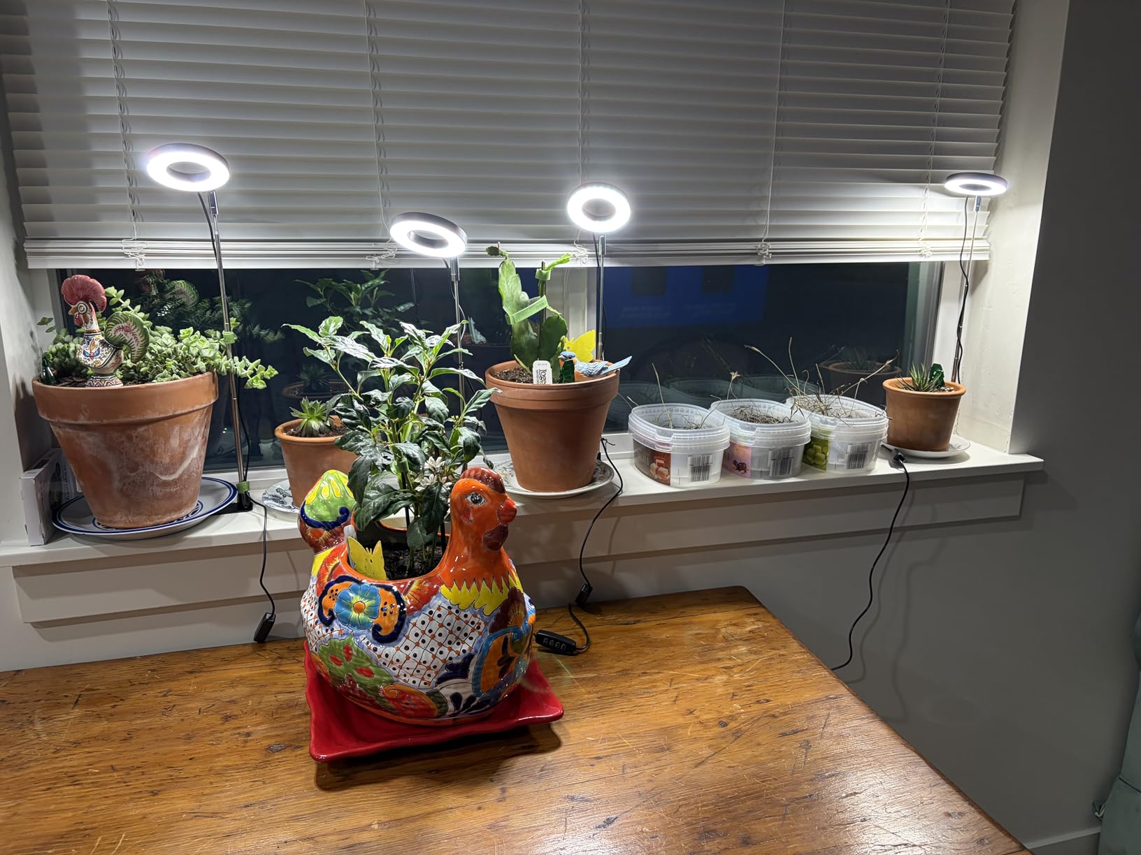 Aokrean Grow Lights for Indoor Plants, Full Spectrum Plant Light with Base | 48 LEDs Halo Grow Lamp for Small Plants, Base/Soil Insert, 6.5-26in Adjustable, 3 Spectra, 3/9/12H Timer, 10 Brightness, 3 Pack customer photo 2