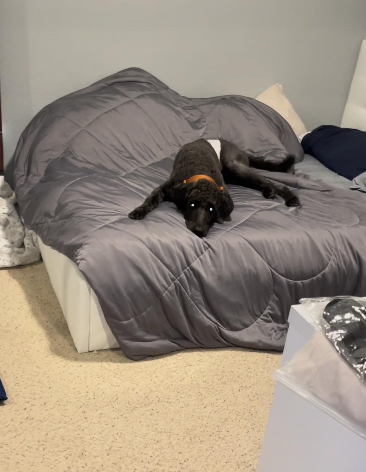 HOMFINE Cooling Comforter for Hot Sleepers Queen, Gray 90