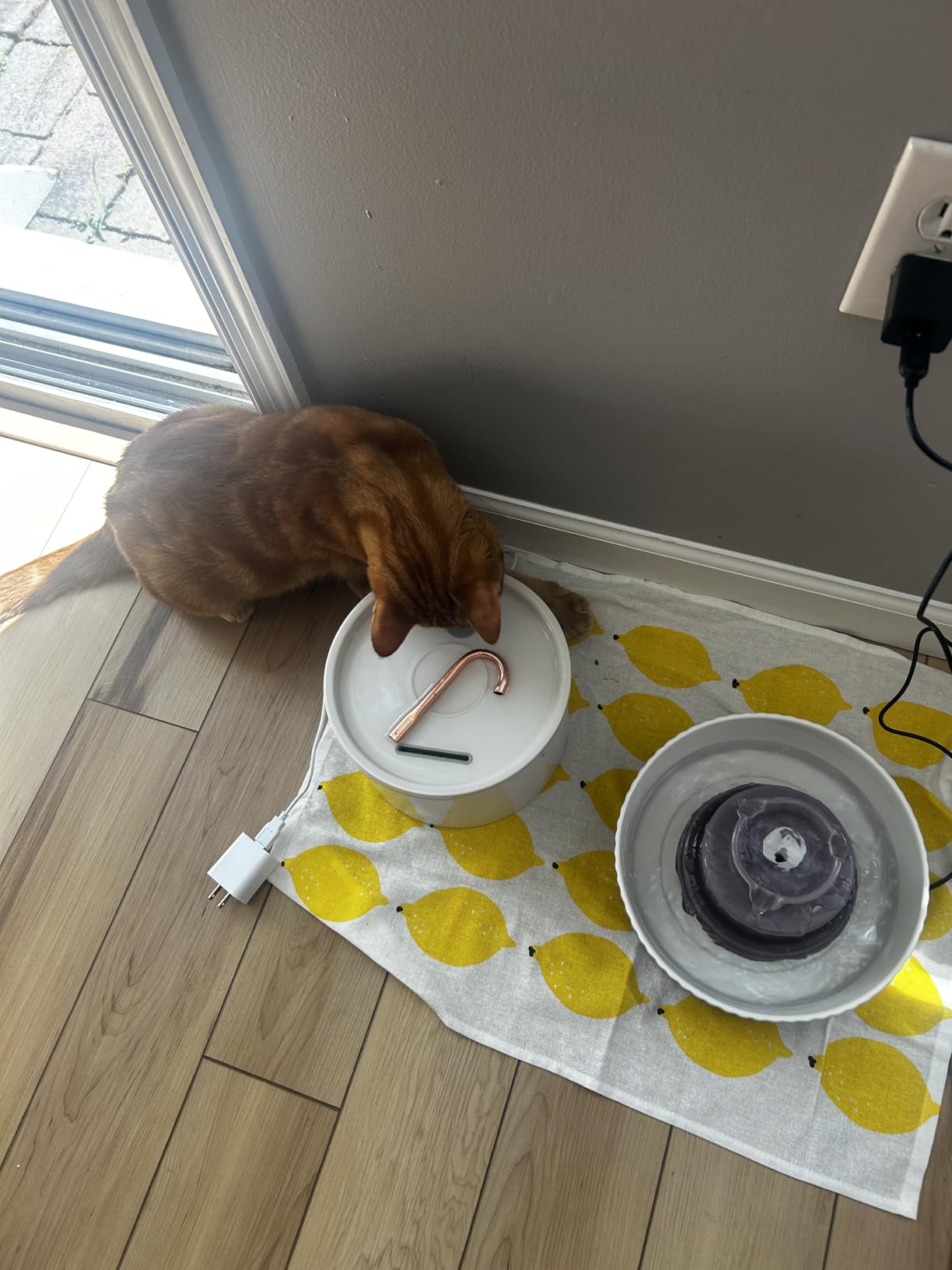 Lawfery Ceramic Cat Water Fountain, 2.1L/71oz Cupcake Pet Fountain | 3 Carbon Filters, 2 Quiet Pumps, Heavy Ceramic Body, and 360° Drinking Area, Drinking Bowl for Indoor Cats and Small Dogs customer photo 1
