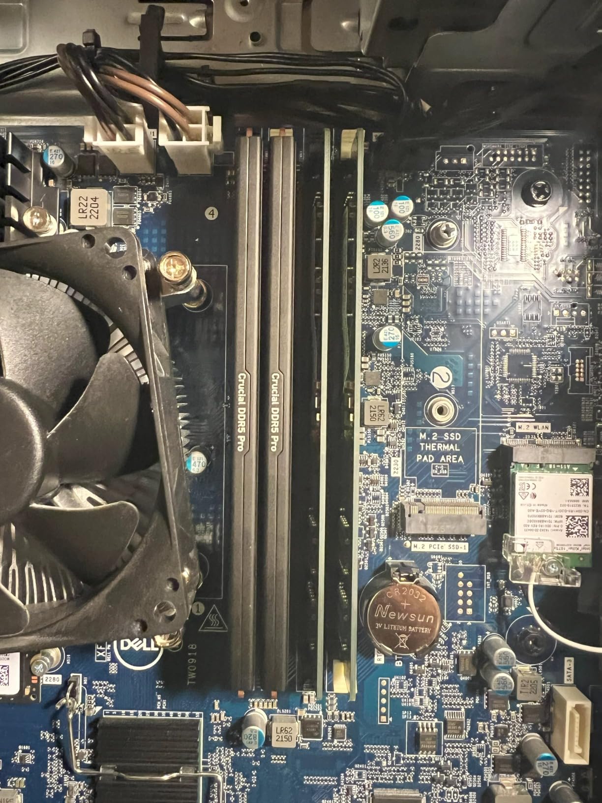Crucial Pro 64GB DDR5 RAM Kit (2x32GB), 5600MHz Desktop Memory UDIMM 288-pin, Compatible with 13th Gen Intel Core and AMD Ryzen 7000 - CP2K32G56C46U5 customer photo 1