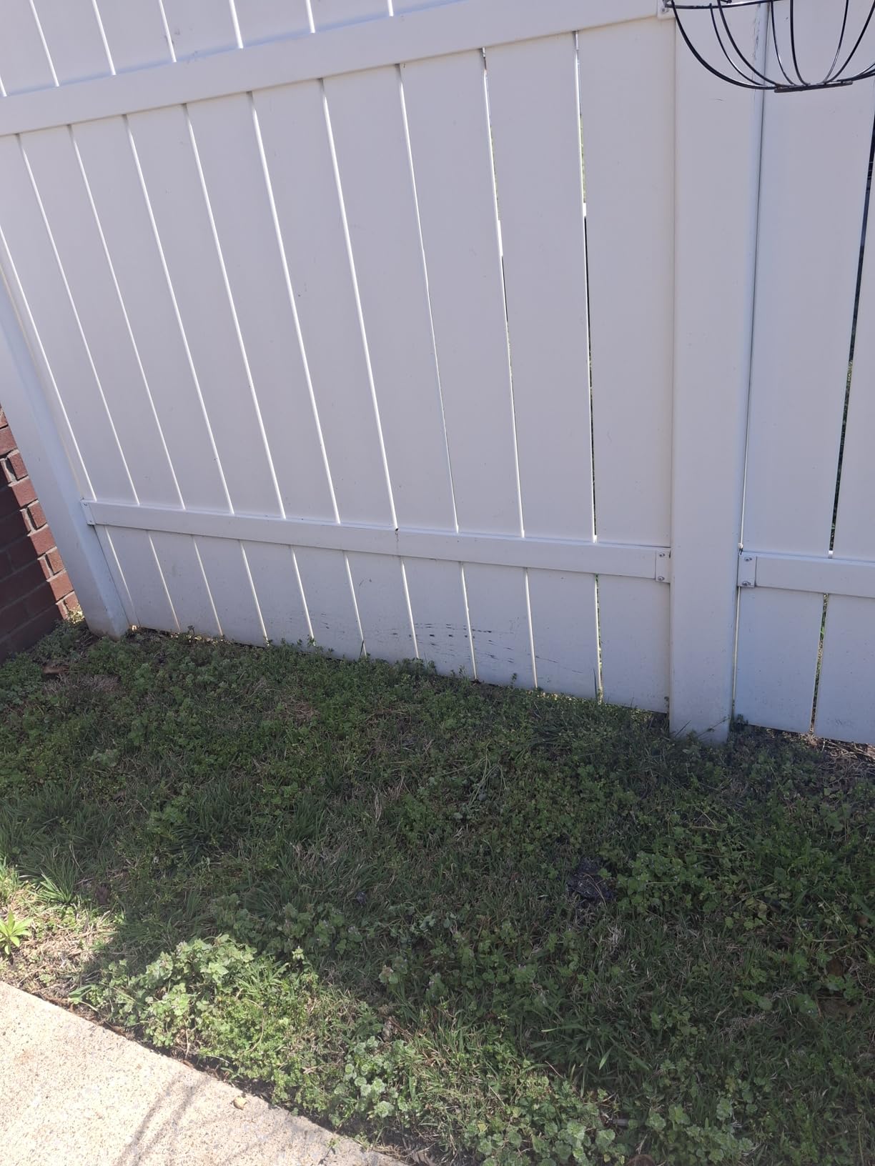 Roundup Weed & Grass Killer4 with Pump 'N Go 2 Sprayer, 1.33 gal. customer photo 1