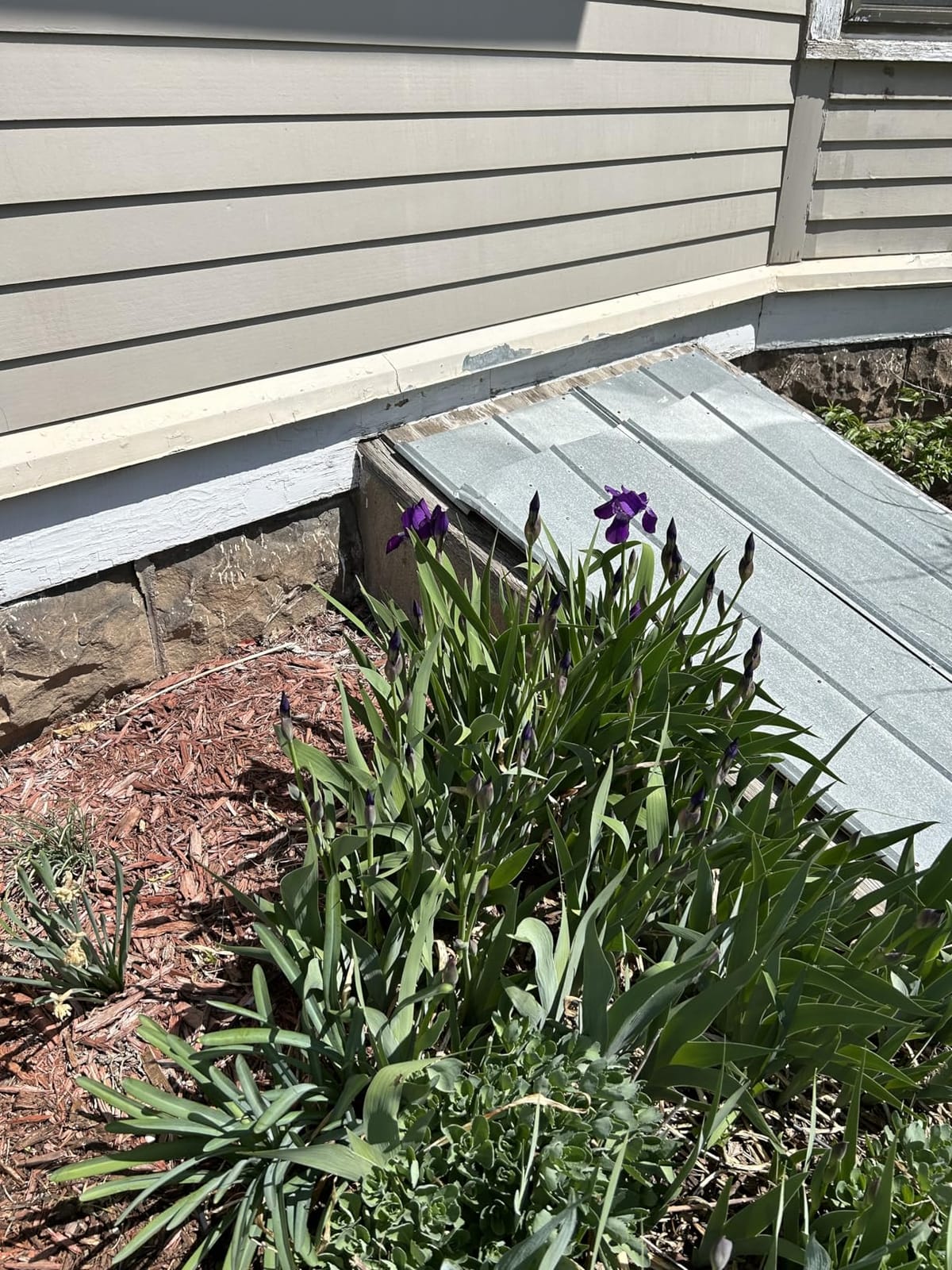Rain Bird DRIPKITBAG Drip Irrigation Kit customer photo 2