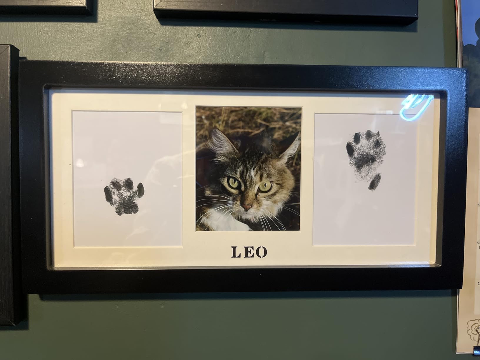 MYPAWLETS Paw Print Frame & Ink Pads Kit, Pawprint Kit for Dog/Cat customer photo 1