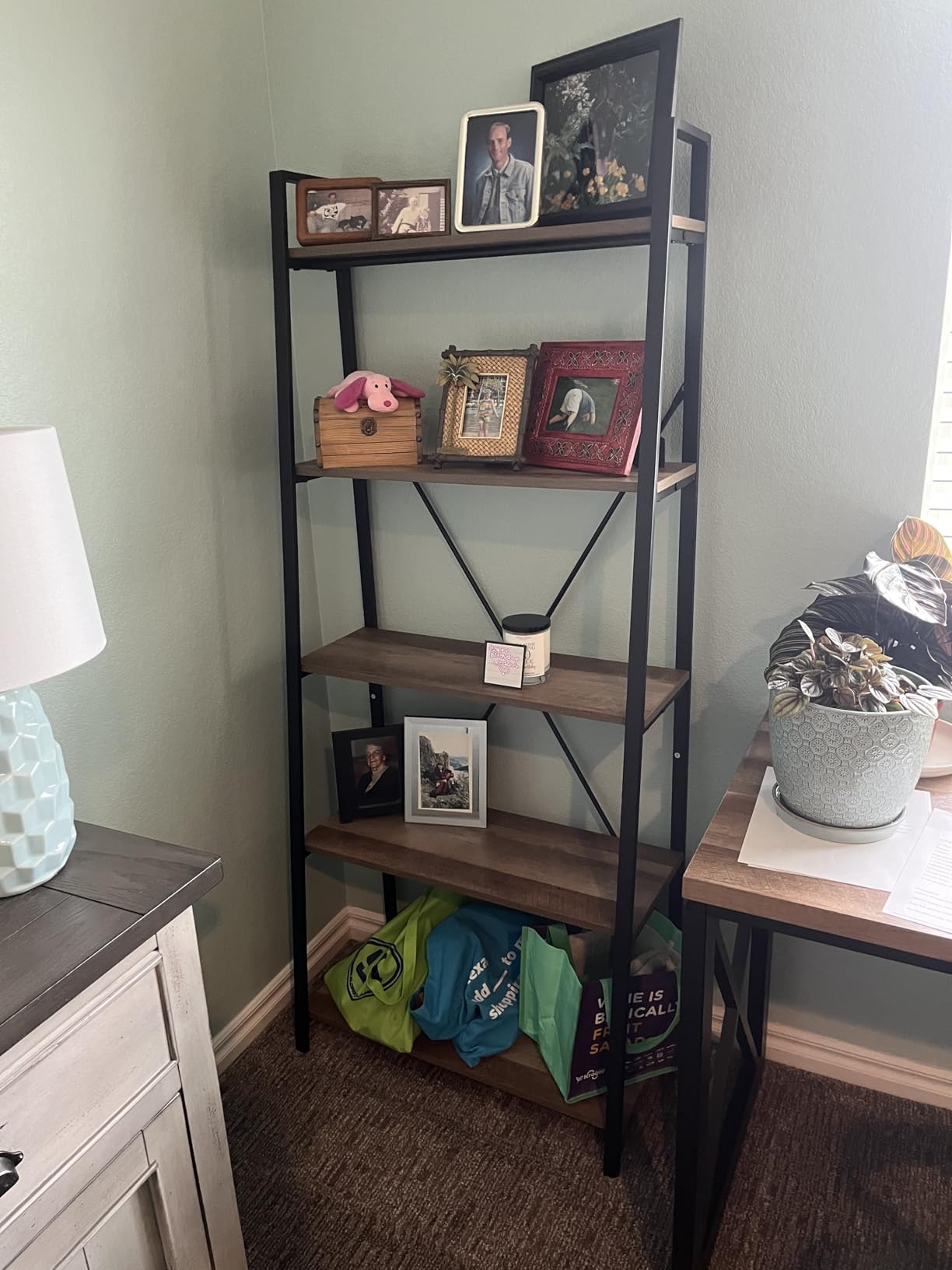Ladder Shelf Bookcase, 5-Tier Industrial Ladder Bookshelf, Tall Living Room Shelves, Wood and Metal Leaning Shelf, Rustic Oak customer photo 1