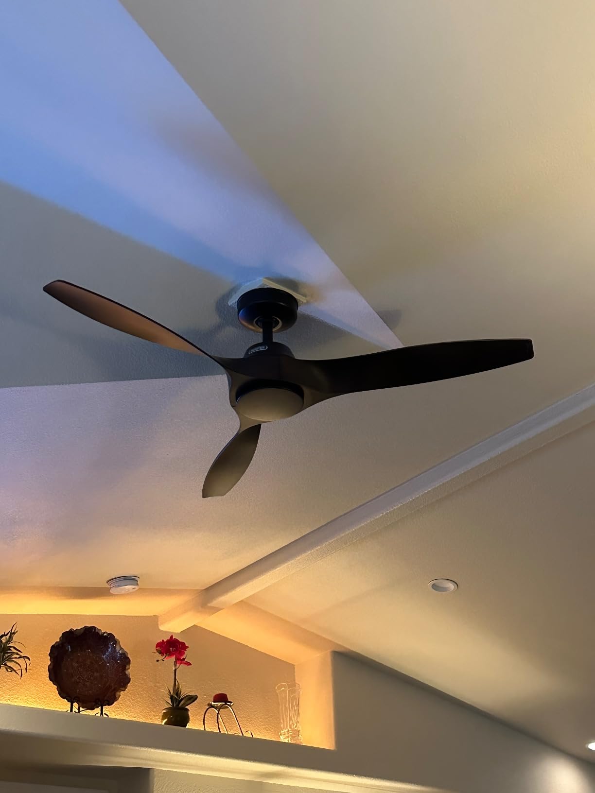 Hunter Mosley, Outdoor or Indoor, Ceiling Fan, 52 inch, Matte Black | No Light, Standard Mount, Wall Control, 3 Blades, For Living Room, Patio, Porch, Garage, 52616 customer photo 1