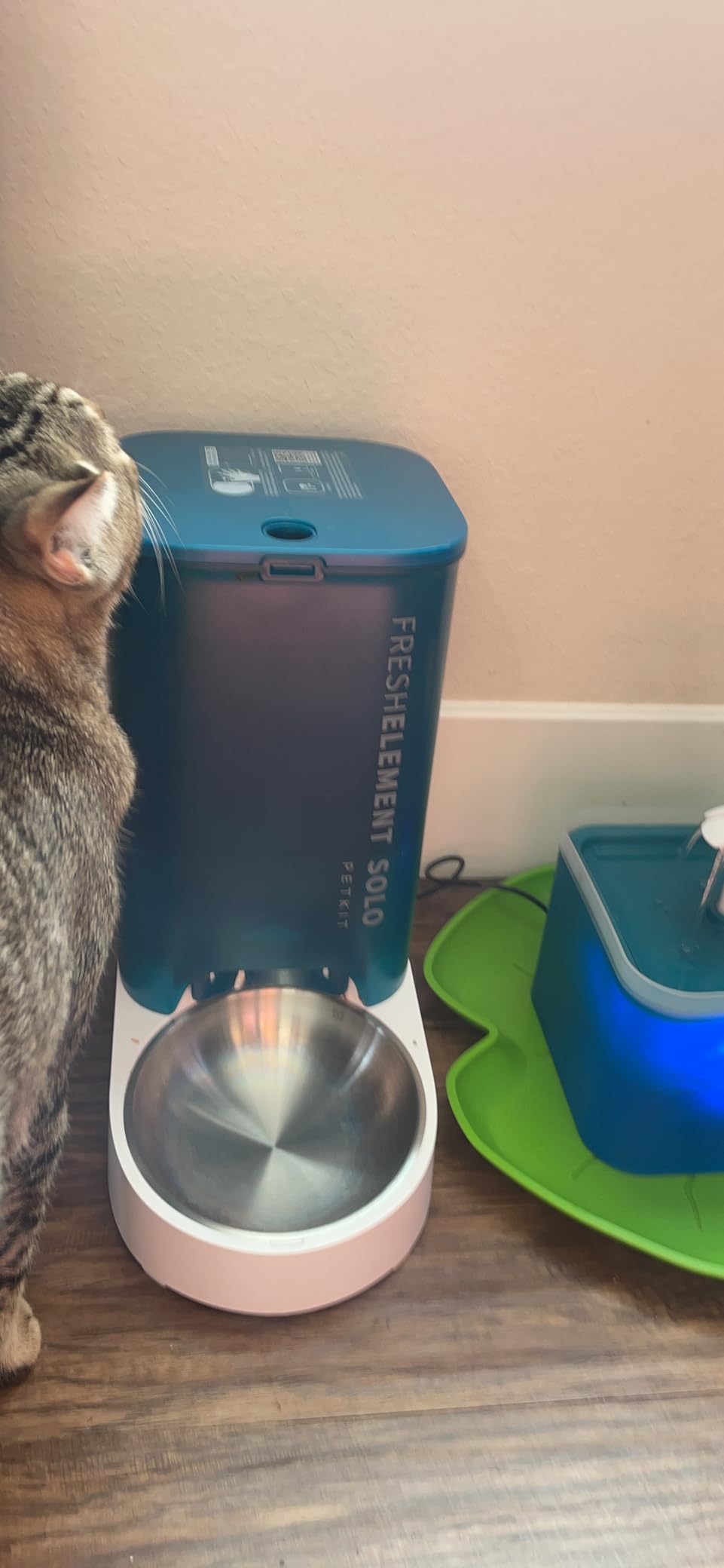 PETKIT Automatic Cat Feeder, 2.4G WiFi Automatic Dog Feeder, App Control Pet Food Dispenser with Triple Fresh-Lock System, Schedule Feeding, Food Shortage Alert, Dual Power-Charge&Battery,3L Capacity customer photo 2