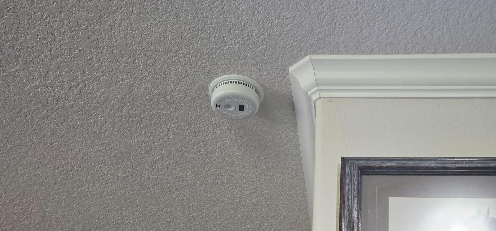 First Alert Battery Combination Smoke & Carbon Monoxide Alarm | SMCO100 customer photo 2