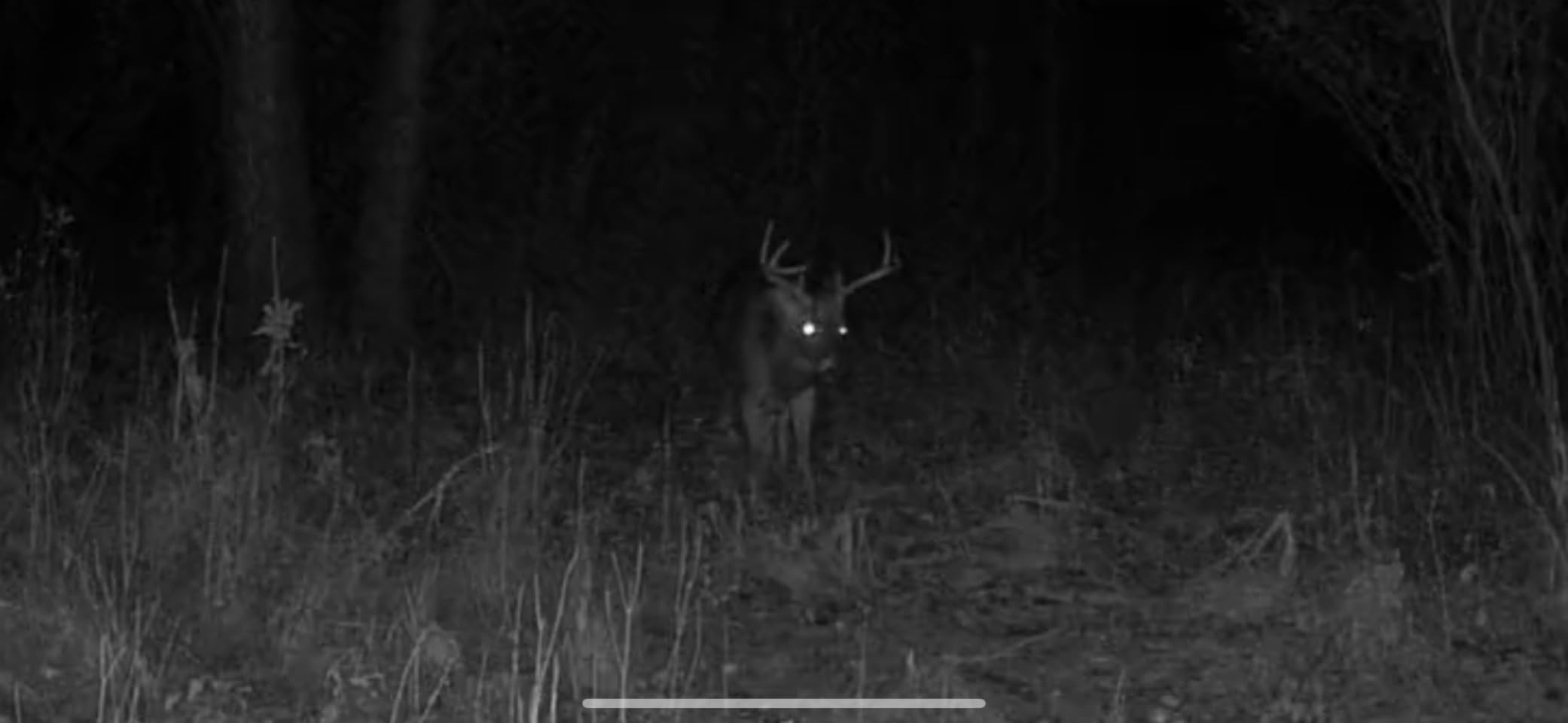 SEHMUA Trail Camera, 2K HD Live Streaming Game Camera AI Animal Detection | 4G LTE Cellular Trail Camera Built-in SIM Unlimited Data, Trail Cameras with Night Vision Motion Activated Waterproof No Wifi customer photo 1