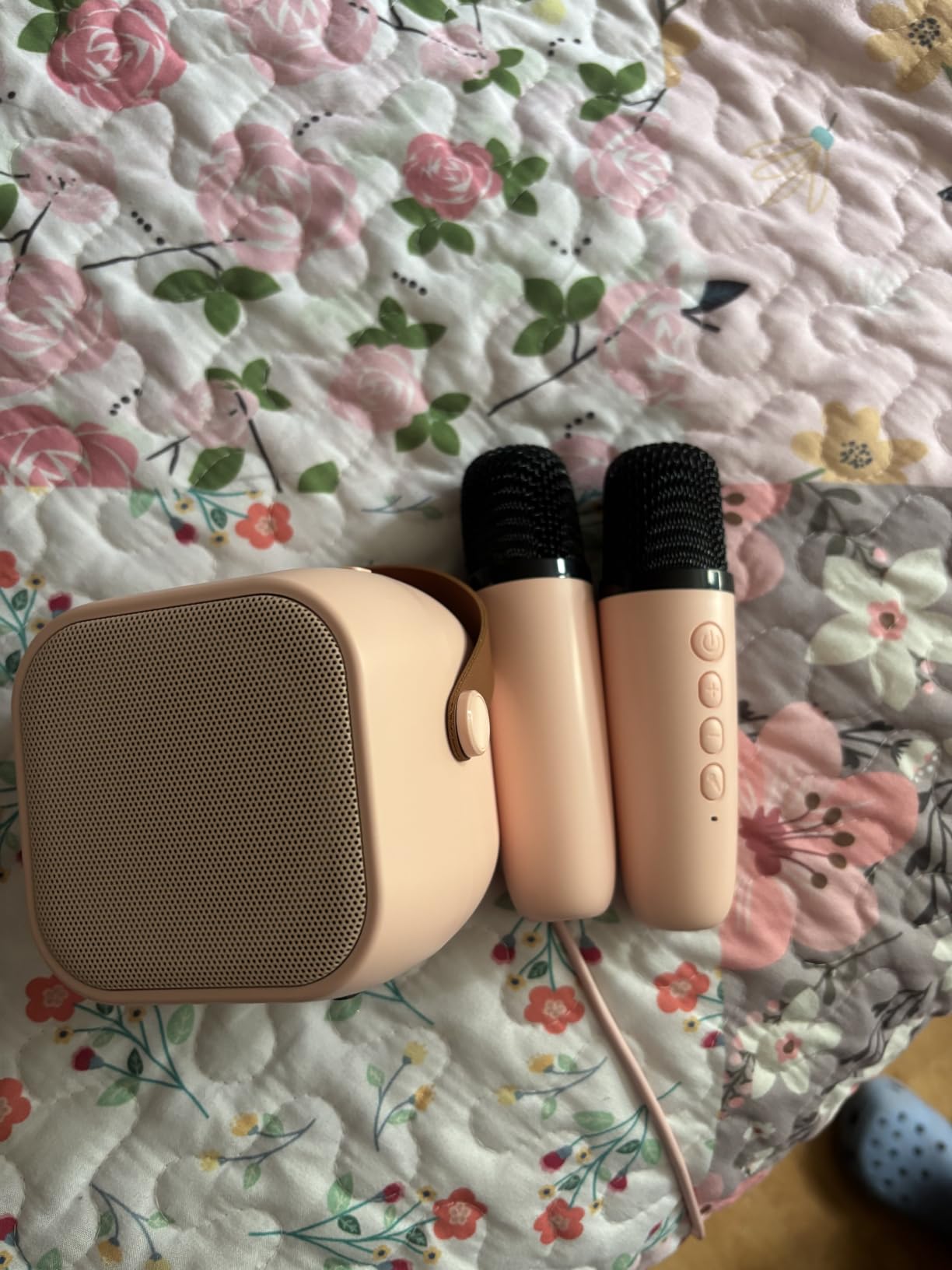 Mini Karaoke Machine, Portable Bluetooth Speaker with 2 Wireless Microphones | 360° Surround Sound, 5 Voice Effects, Bluetooth 5.0, LED Lights, TF/USB/AUX, For Kids and Adults, Family Home Party and Gifts customer photo 2