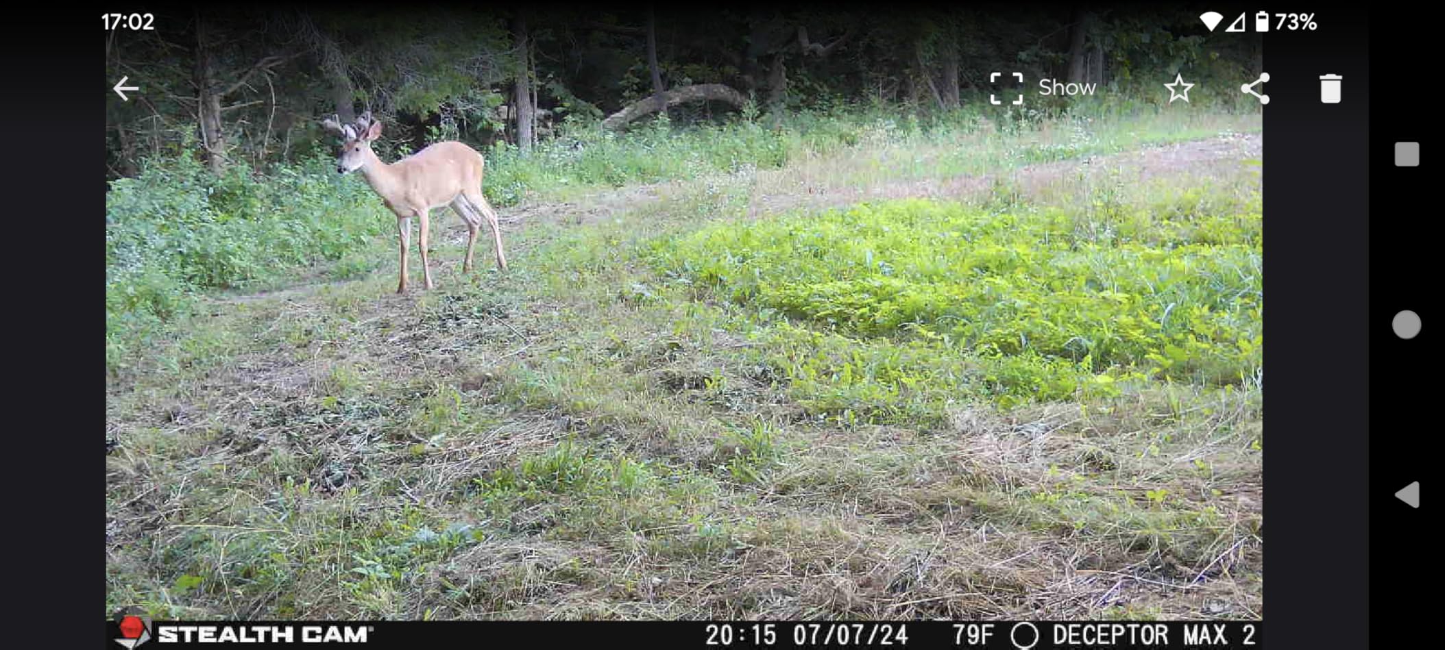 Stealth Cam Deceptor MAX Dual Sim 40MP Photo & 1440P QHD Video Trail Camera (2 Pack) customer photo 1