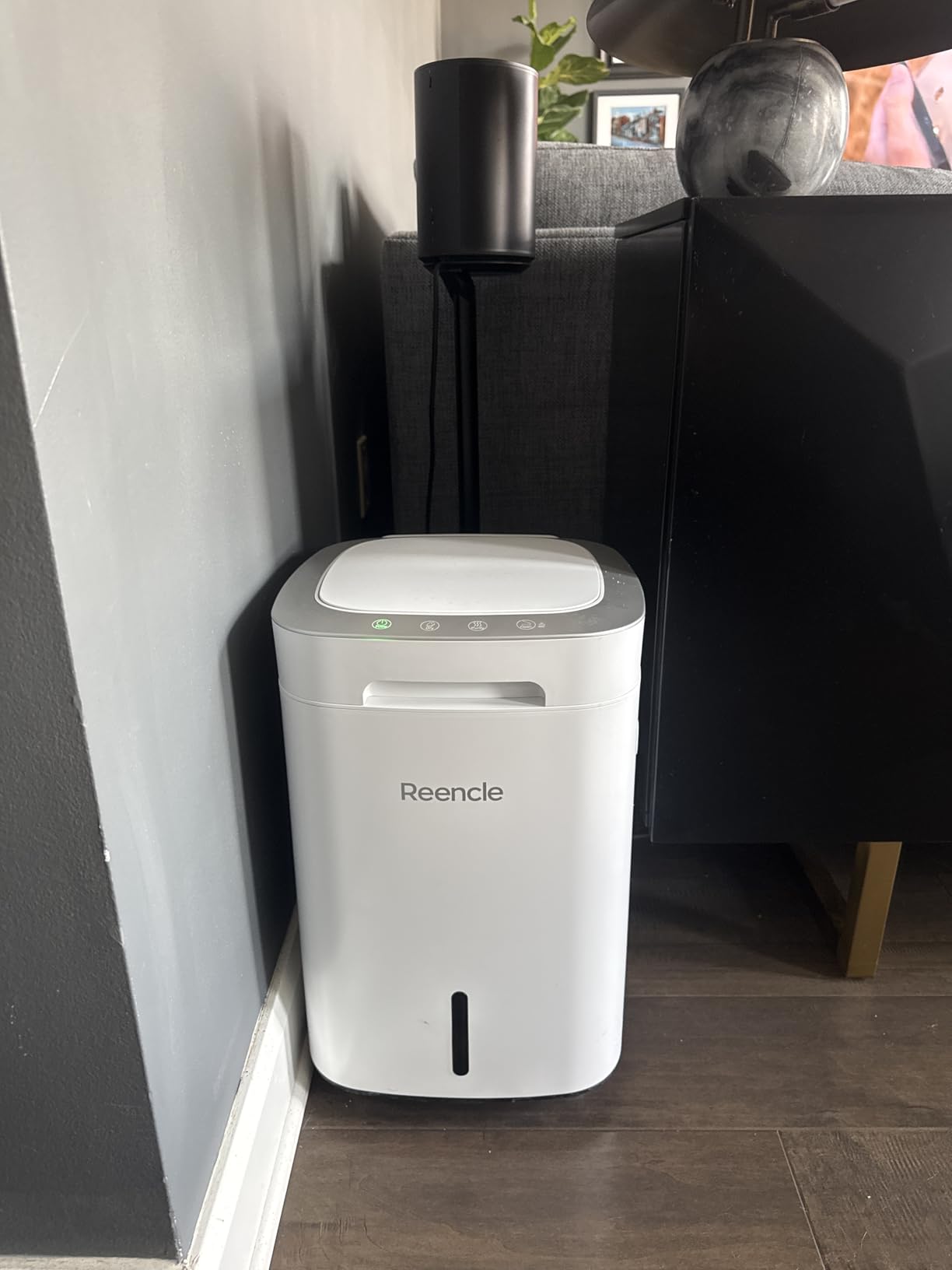 Reencle Prime Electric Composter - 14L Kitchen Composter, Decomposes Up to 2.2 lbs Food Waste Daily, Odorless Indoor Composting with Whisper-Quiet Technology & Rapid Decomposition (White) customer photo 1