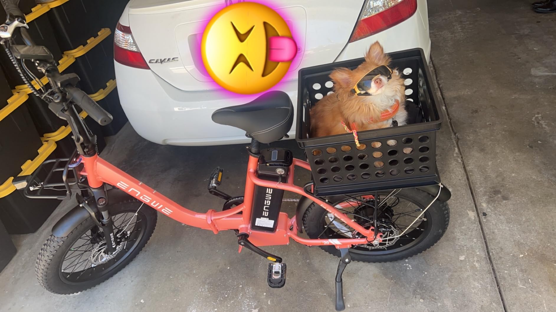 ENGWE 1125W Electric Bike for Adults, L20 2.0 20''×3.0