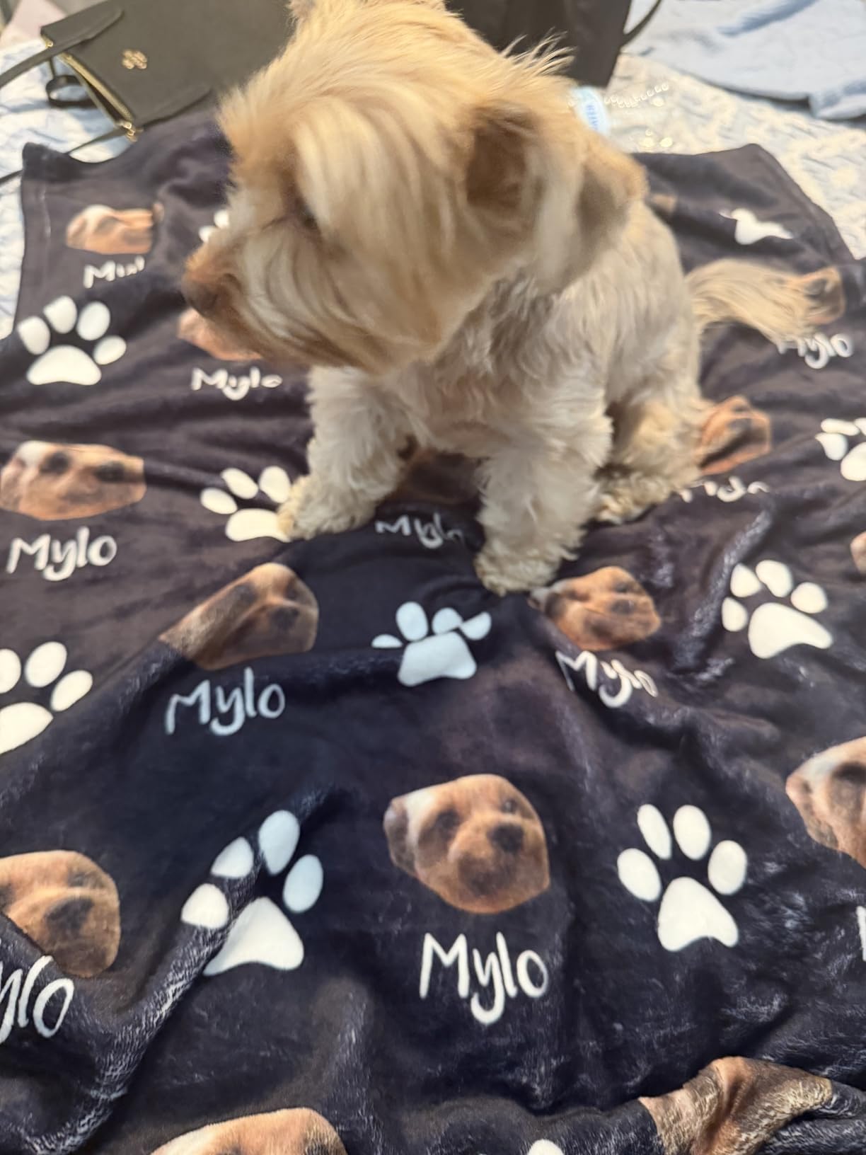 Personalized Dog Blanket, Customized Pet Blankets with Name Picture customer photo 1