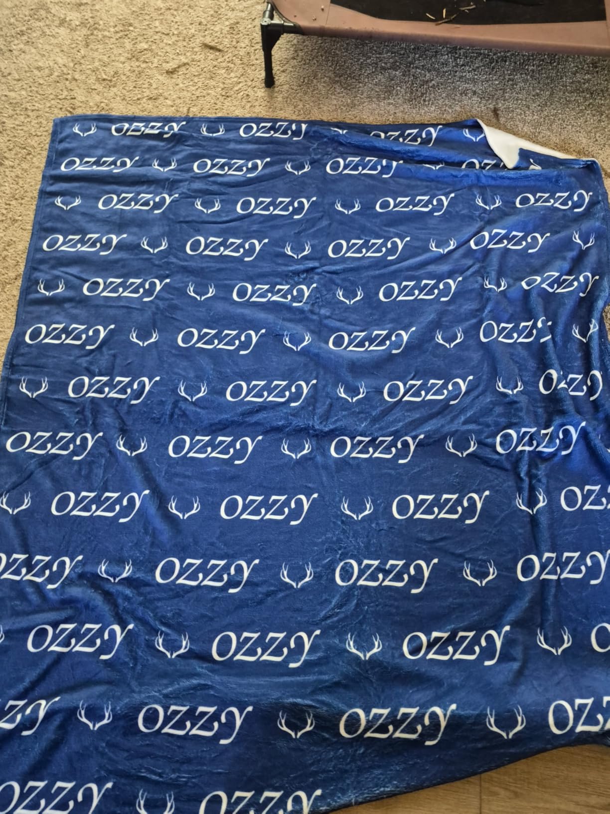 Personalized Dog Blanket, Customized Pet Blankets with Name Picture customer photo 2