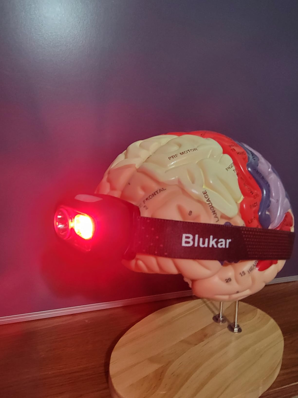 Blukar LED Headlamp Rechargeable,2000L Super Bright Headlight with Motion Sensor -Dimmable Brightness,8 Modes,Spotlight&Floodlight&Red Light Combination,IPX5 Waterproof for Hiking,Camping - 2 Pack customer photo 1