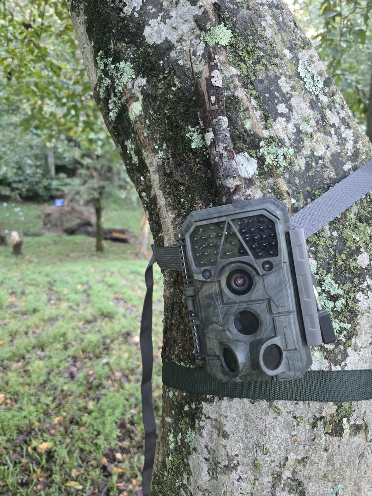 Meidase P70 (Non-Cellular, Non-WiFi) Trail Camera, 64MP 1296p, Game Cameras with No-Glow IR Night Vision, Motion Activated, Waterproof for Wildlife Deer Cams, Hunting customer photo 1