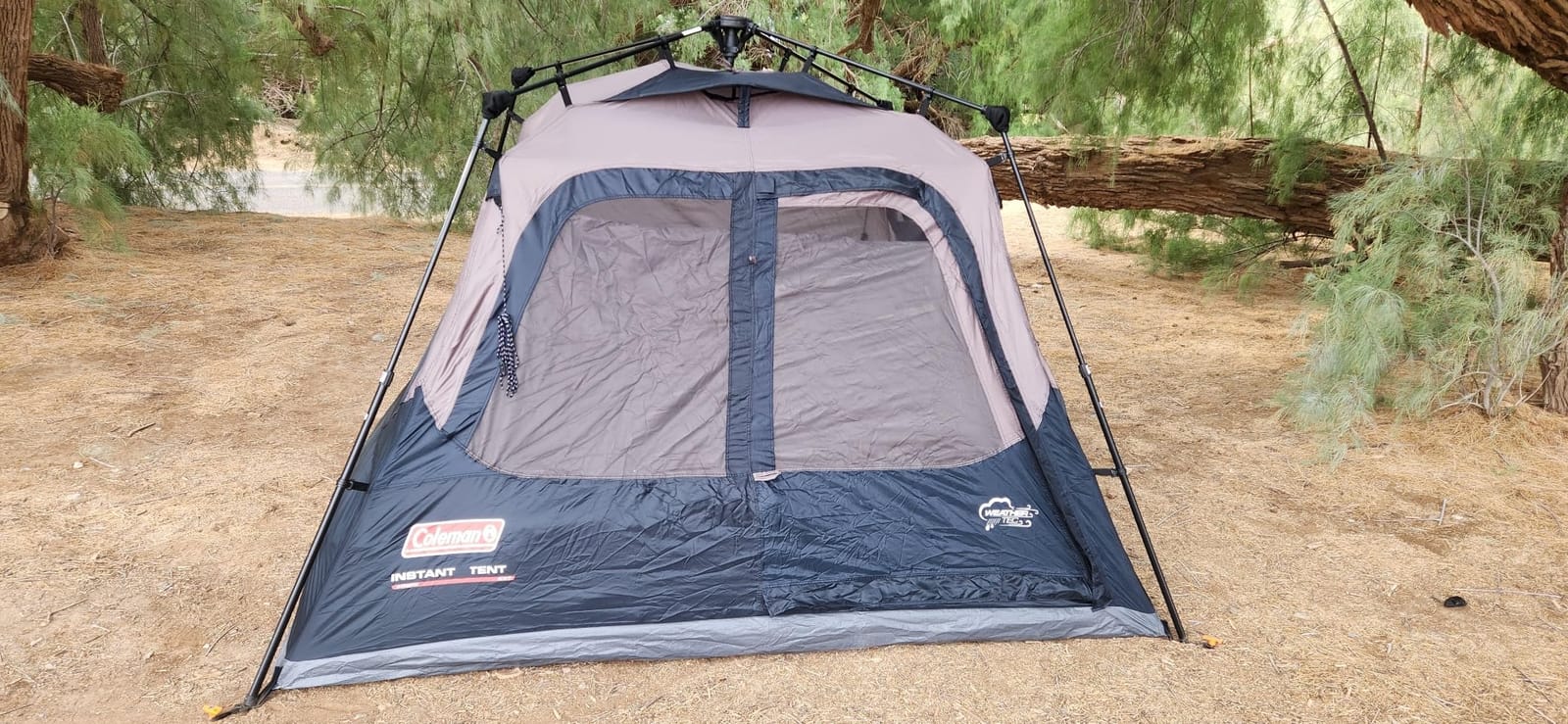 Coleman 4/6/8/10 Person Instant Camping Tent with 1-Minute Setup, Large Family Tent with Pre-Attached Poles, Air Vent, & Carry Bag, Sets Up in About 60 Seconds customer photo 1