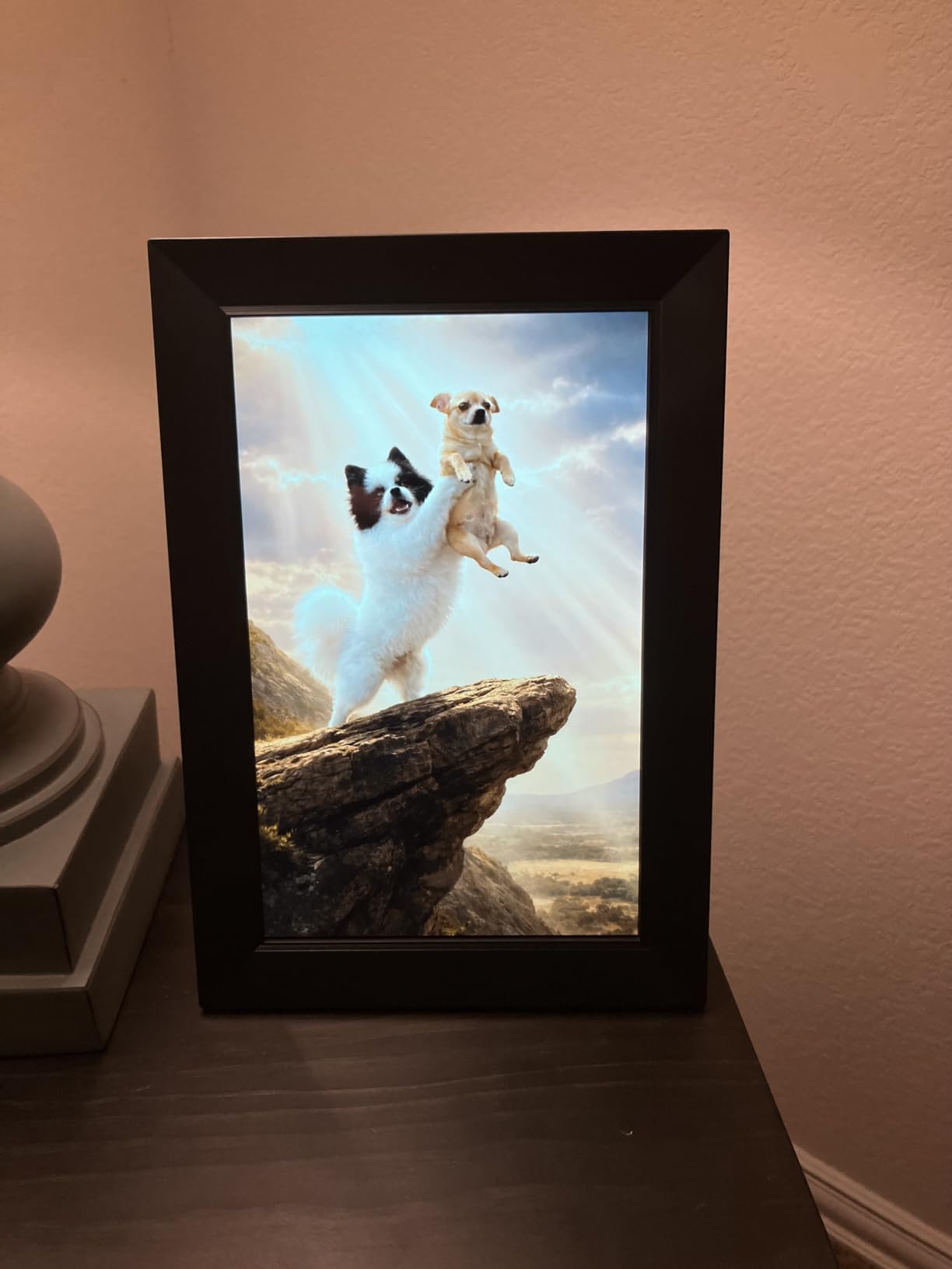 Frameo 10.1 Inch WiFi Digital Picture Frame, Smart Cloud Electronic Photo Frame with HD IPS Touch Screen Slideshow 32GB Memory Auto-Rotate Wall Mount, Share Photos/Videos from Phone - Gifts for Mom customer photo 1