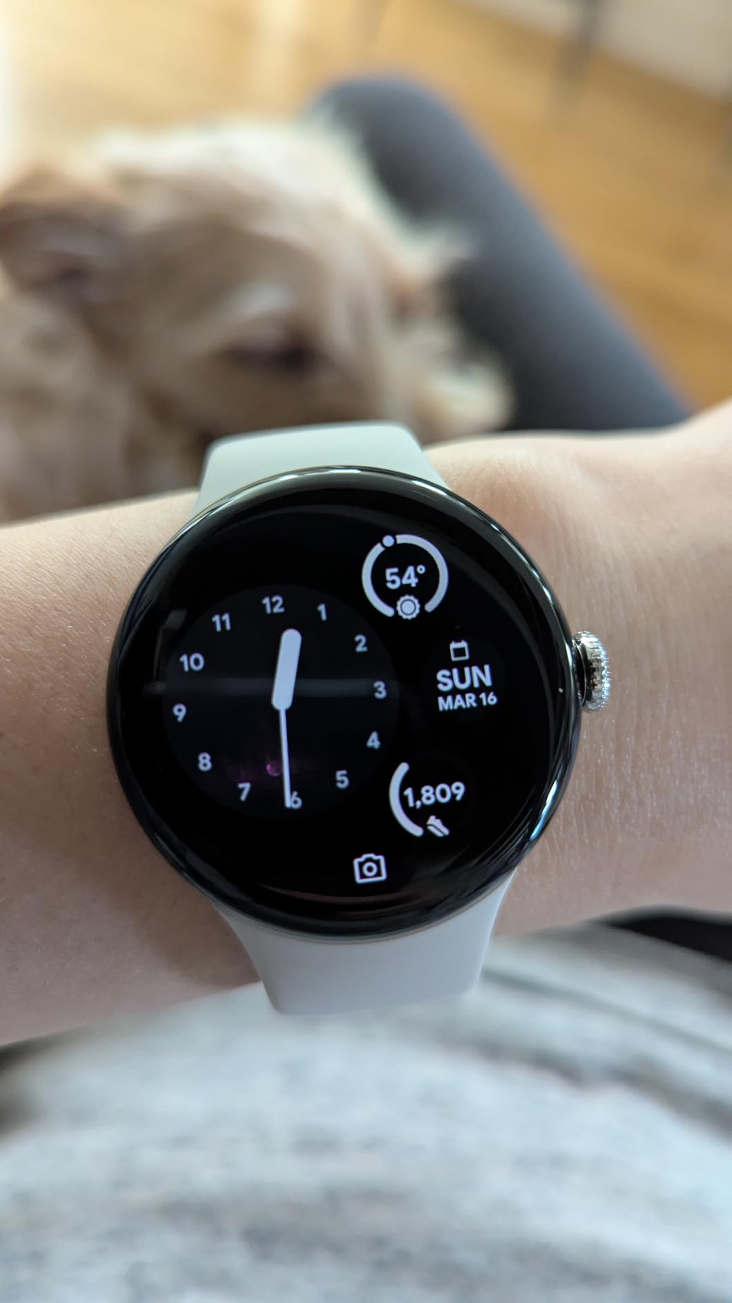 Pixel Watch 3 (45mm) 2024 Model - Android Smartwatch, Heart Rate Tracking, Fitbit Advanced Running, Fitness Insights, 24-Hour Battery - Matte Black Aluminum Case - Obsidian Band - LTE customer photo 2