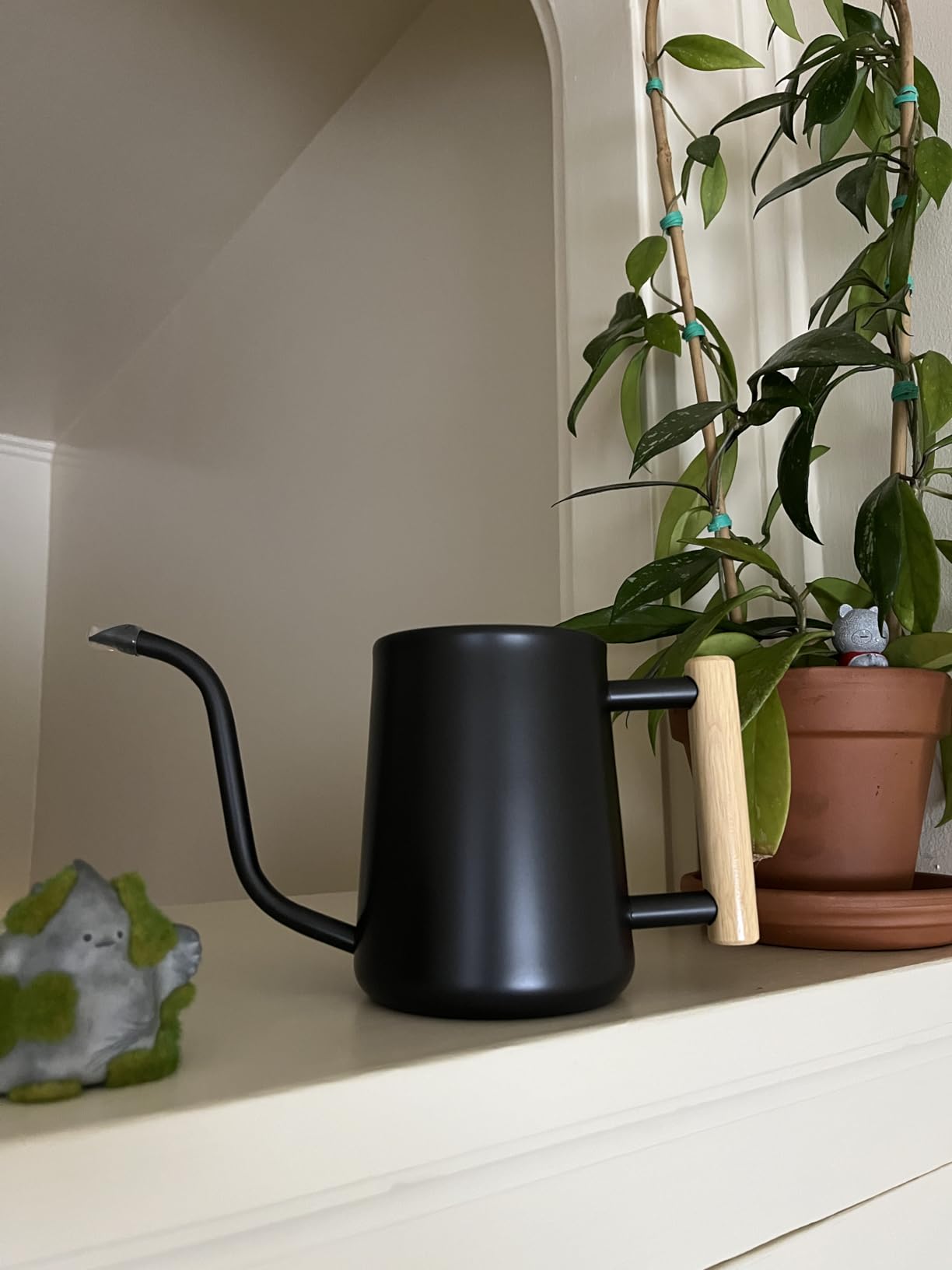Watering Can Indoor Plants, 35 oz/1000 ml Metal Stainless Steel Watering Can Pot with Long Spout for Indoor House Plants Bonsai Outdoor Garden Flower Decorative (Alpinegreen) customer photo 1