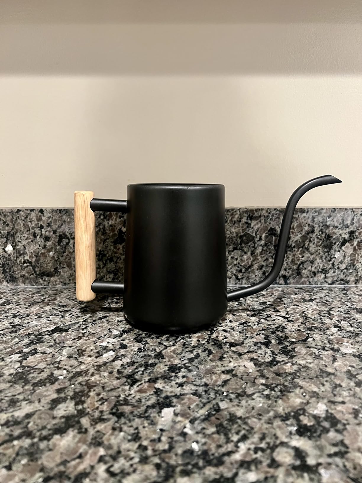 Watering Can Indoor Plants, 35 oz/1000 ml Metal Stainless Steel Watering Can Pot with Long Spout for Indoor House Plants Bonsai Outdoor Garden Flower Decorative (Alpinegreen) customer photo 2