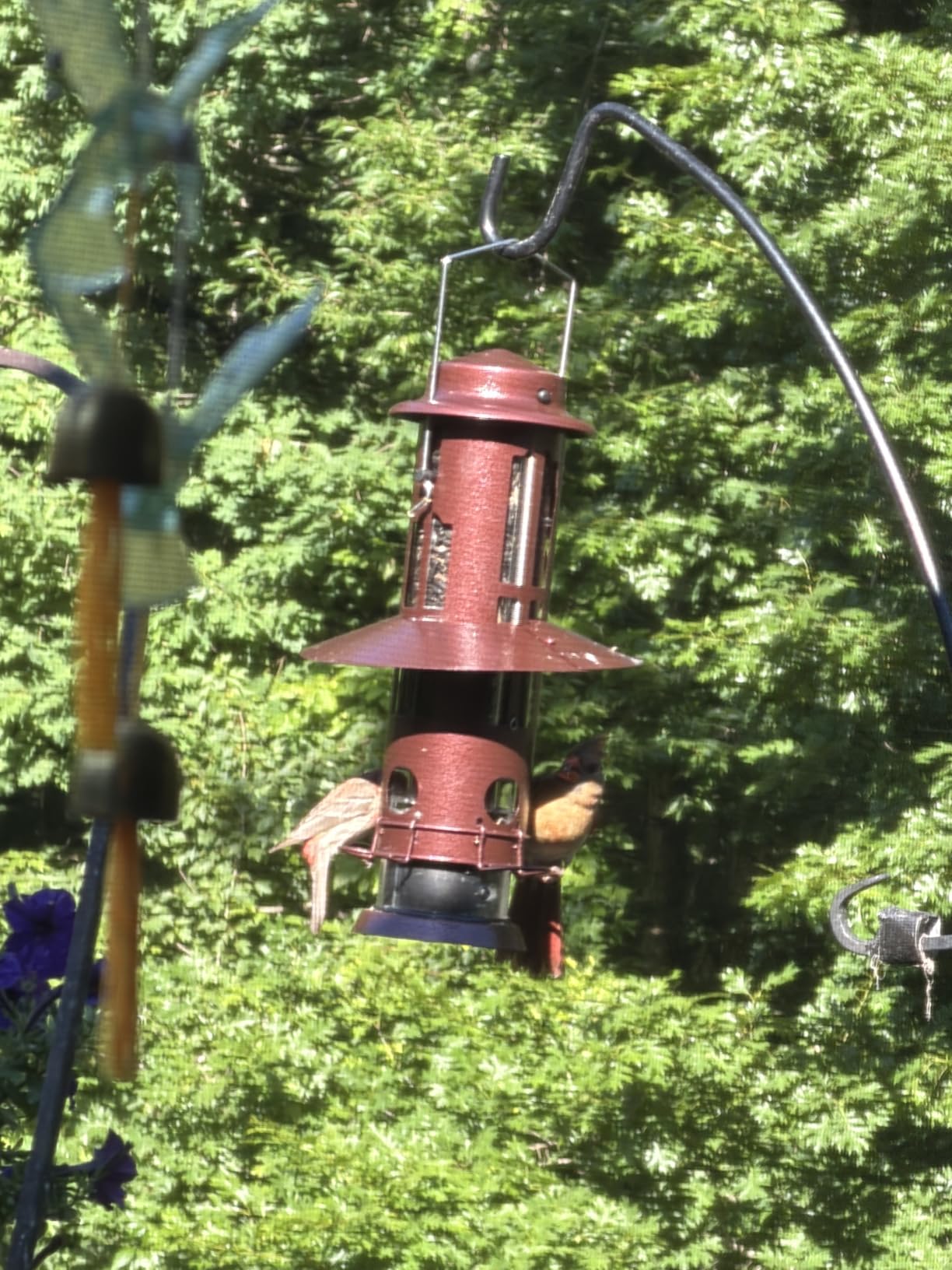 Kingsyard Squirrel Proof Bird Feeders for Outdoors Hanging | 4 Ports with Weight-Activated Perch, Chew-Proof Metal, Removable Easy-to-Clean Base, 3 lb Seed Capacity, Green customer photo 1