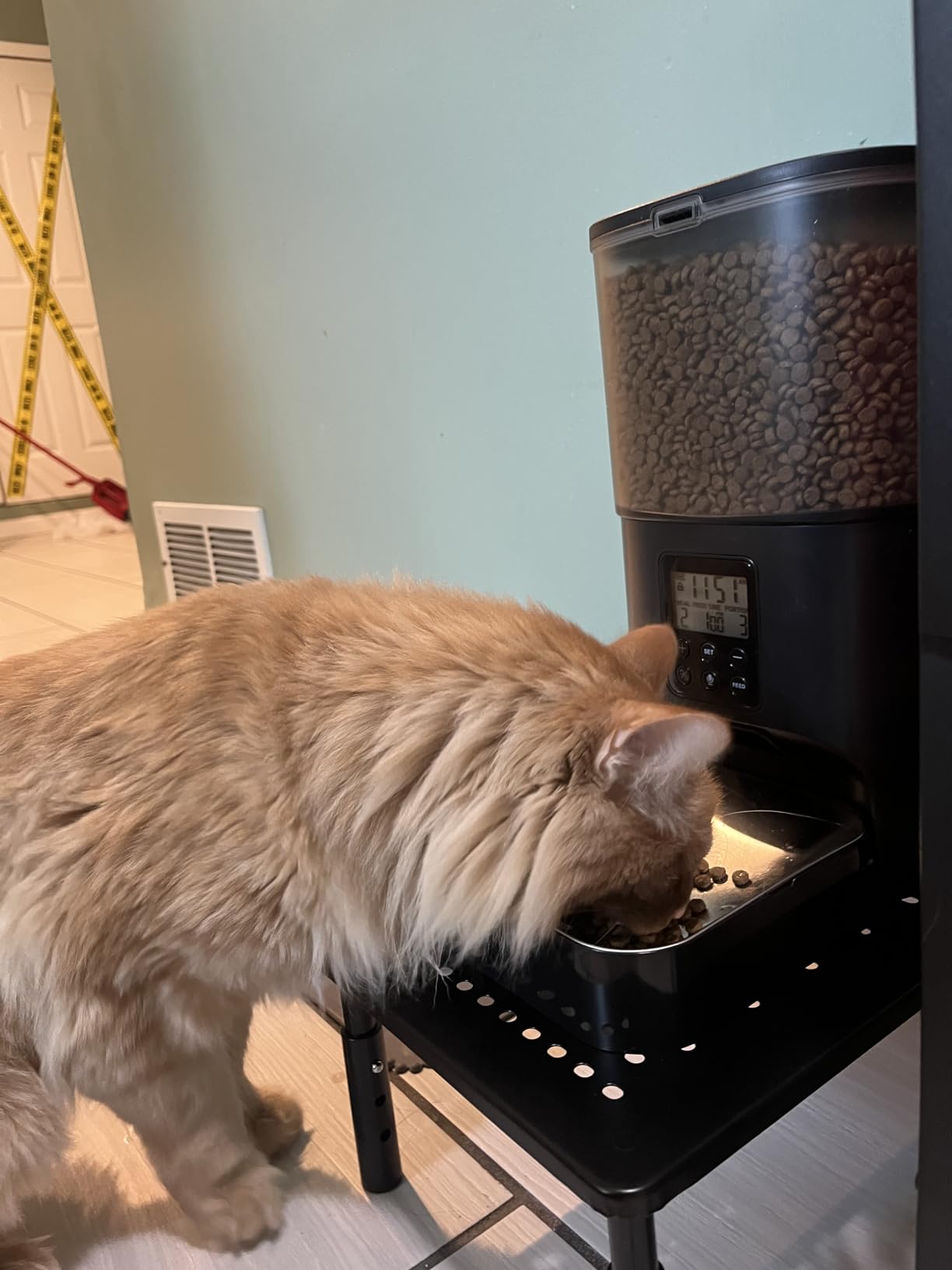ANDOLL HOME 2.4G Automatic Cat Feeder, 4L WiFi Food Dispenser with 10s Voice Recorder, Pet Feeder up to 10 Meals per Day, Timed Cat Feeder with Dry Food Sealed Ring customer photo 1