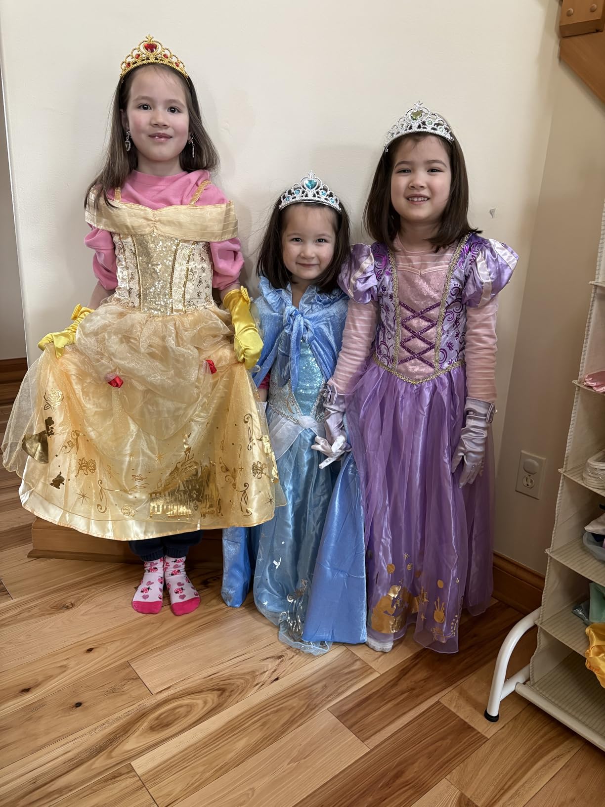 LIMIROLER Princess Dress Up Clothes for Little Girl Role Play Costume Gift Set Princess Dress Up Toys for Toddler Girls customer photo 1