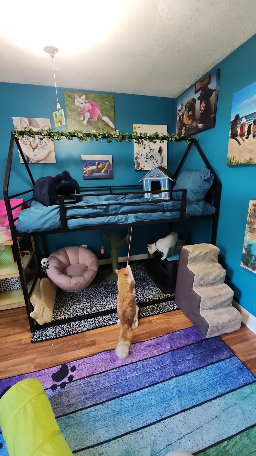 LIKIMIO Bunk Bed Twin Over Twin, House Bunk Bed Frame with Ladder and Guardrail, House Shaped with Metal Slats for Dormitory and Bedroom, Space Saving, No Box Spring Needed, Black customer photo 2