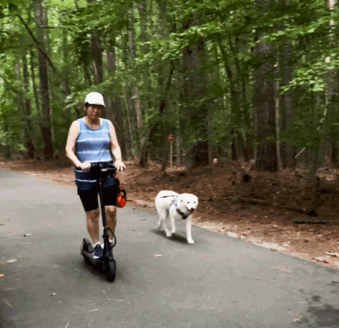 iScooter Electric Scooter Adults, 18/15/12 Miles Long Range,22/19/18 Mph Top Speed, Commuting Electric Scooter with Cruise Control, Double Braking Systems Escooter for Adults and Teens customer photo 1