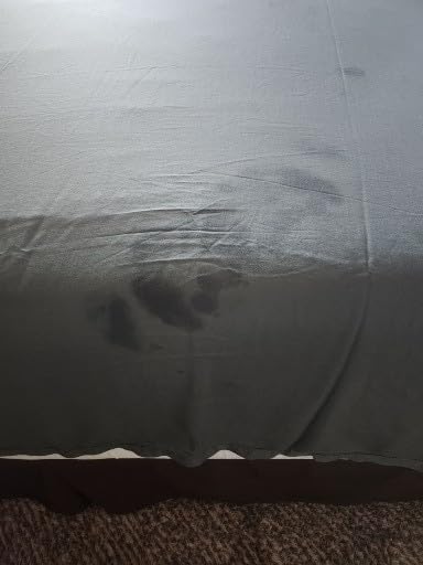 Cariloha Aloha Soft Bamboo Viscose Sheet Set - Natural - Queen | Buttery Soft, Hypoallergenic, Cooling Sheets, 1 Flat, 1 Fitted, 2 Pillowcases, 16 in Deep Pockets, OEKO-TEX Standard 100 customer photo 2