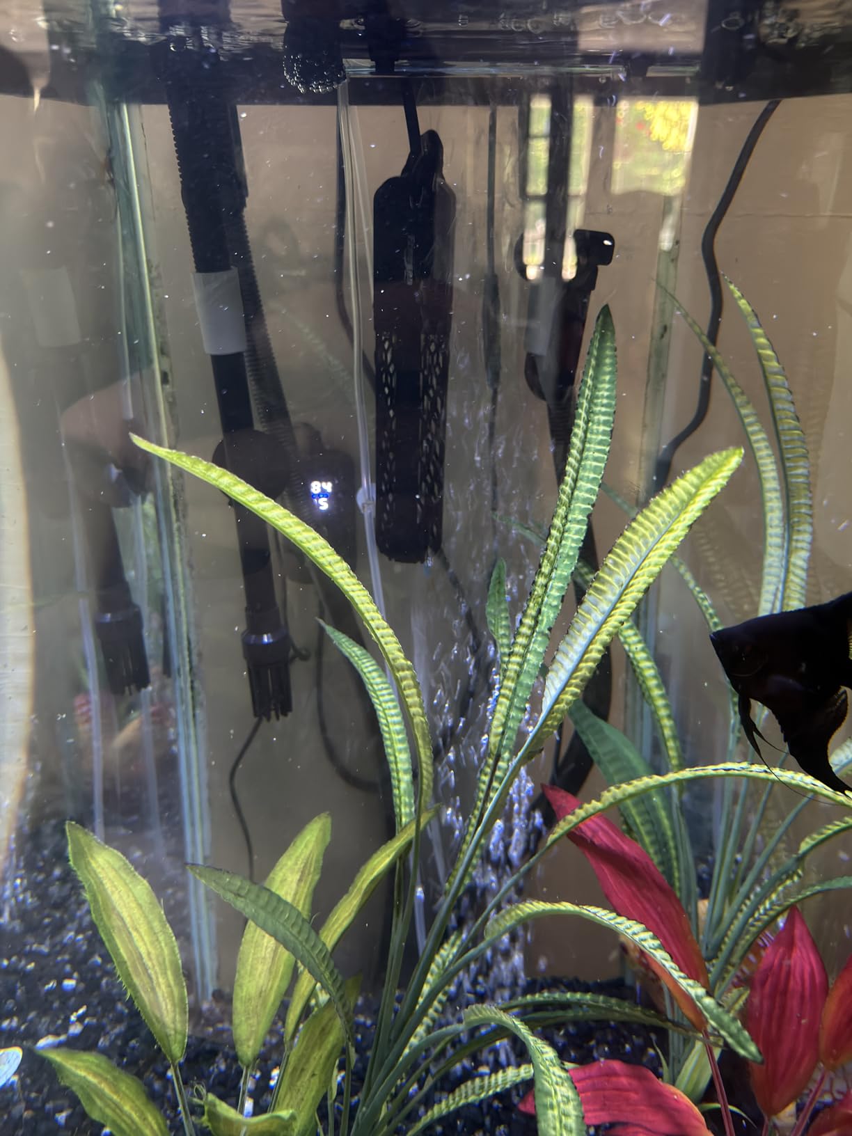 FREESEA Adjustable Aquarium Heater 20-50Gal: 200W with External Digital Controller customer photo 1
