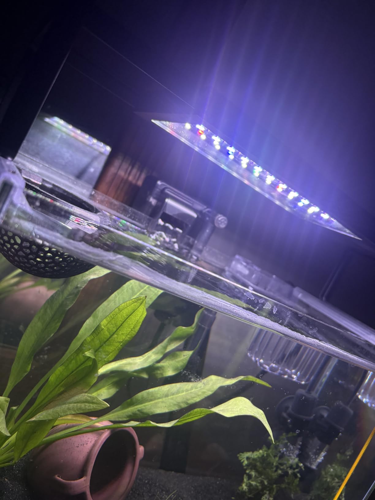 SEAOURA 24/7 LED Aquarium Light for 18-24 Inch Fish Tank Plant with Timer, Auto On Off, 9 Colors, Adjustable Brightness, Daylight & Moonlight, DIY and Weather customer photo 1