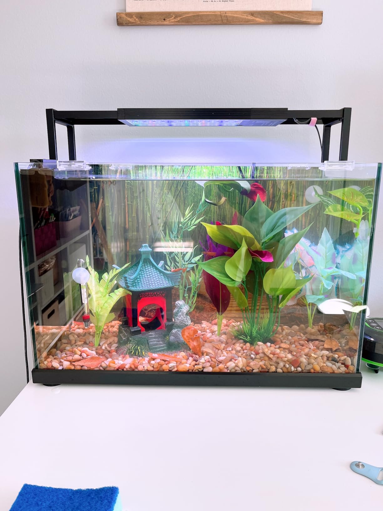 SEAOURA 24/7 LED Aquarium Light for 18-24 Inch Fish Tank Plant with Timer, Auto On Off, 9 Colors, Adjustable Brightness, Daylight & Moonlight, DIY and Weather customer photo 2