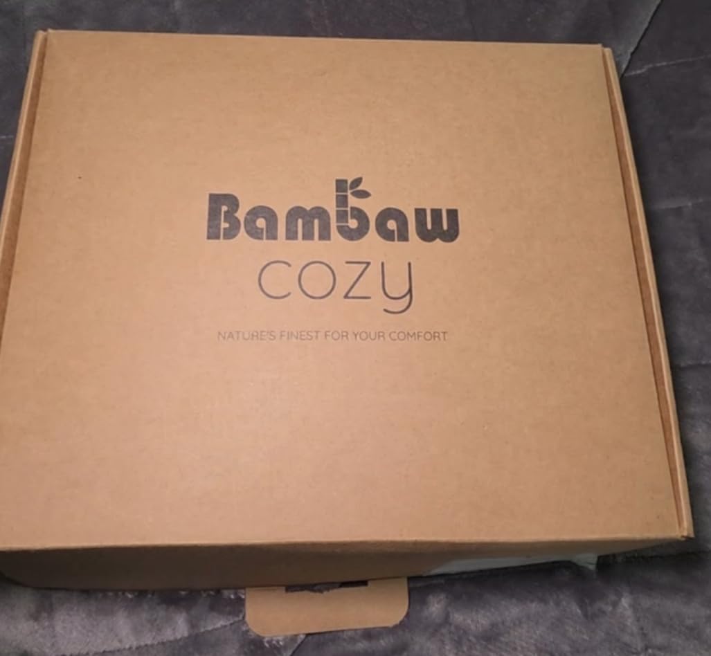 Bambaw 100% Viscose Derived from Bamboo Sheets Queen Size Set - 4pcs Cooling Sheet Set, Super Soft Sheets Queen Size, Luxury Bed Sheets, Deep Pocket Fits Up to 16