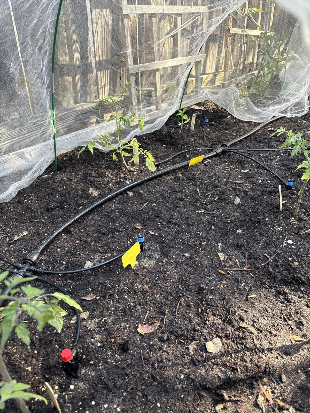 250FT Drip Irrigation System for Garden - 50FT 1/2