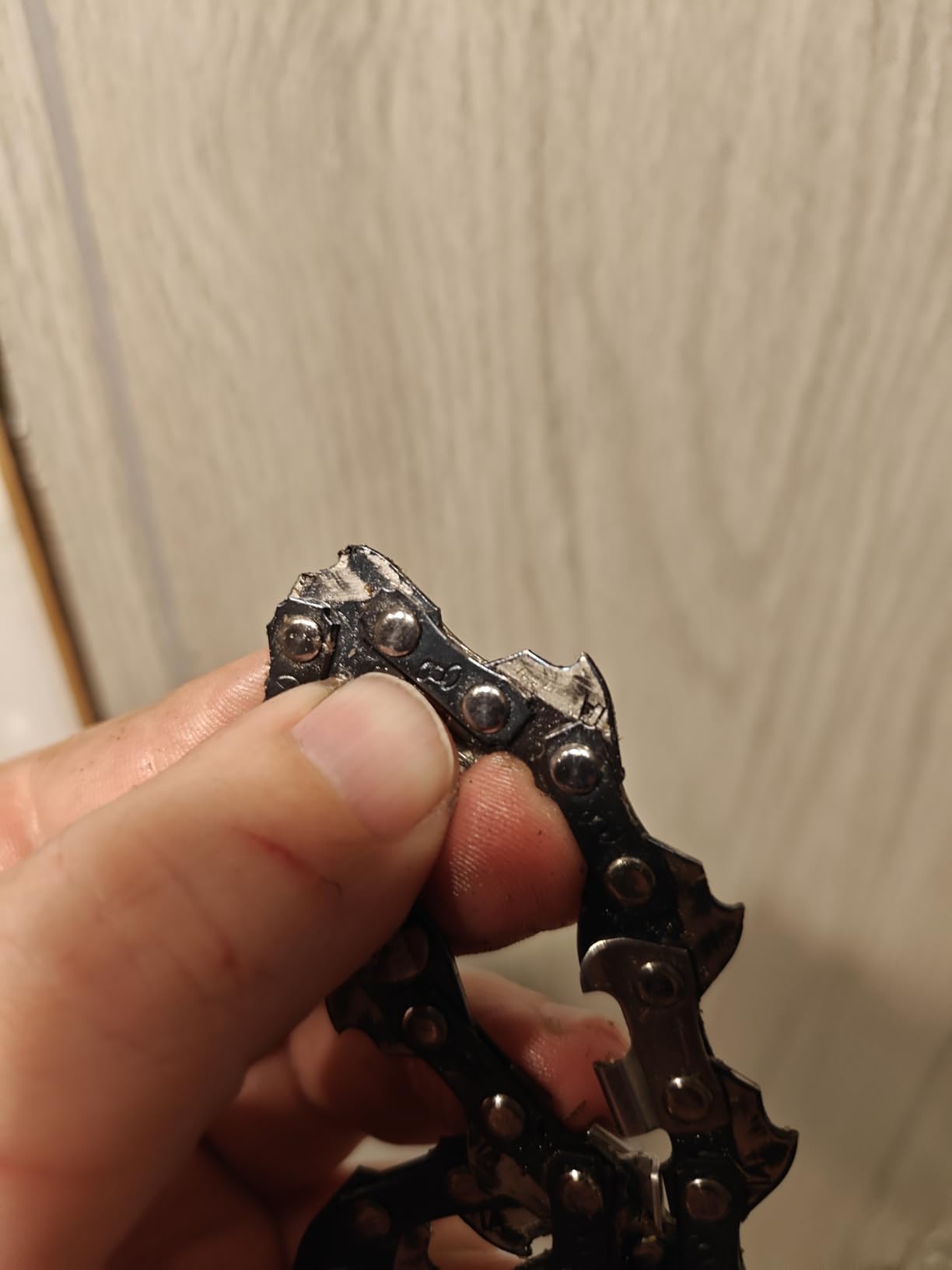 EGO POWER+ Chain Saw, 12