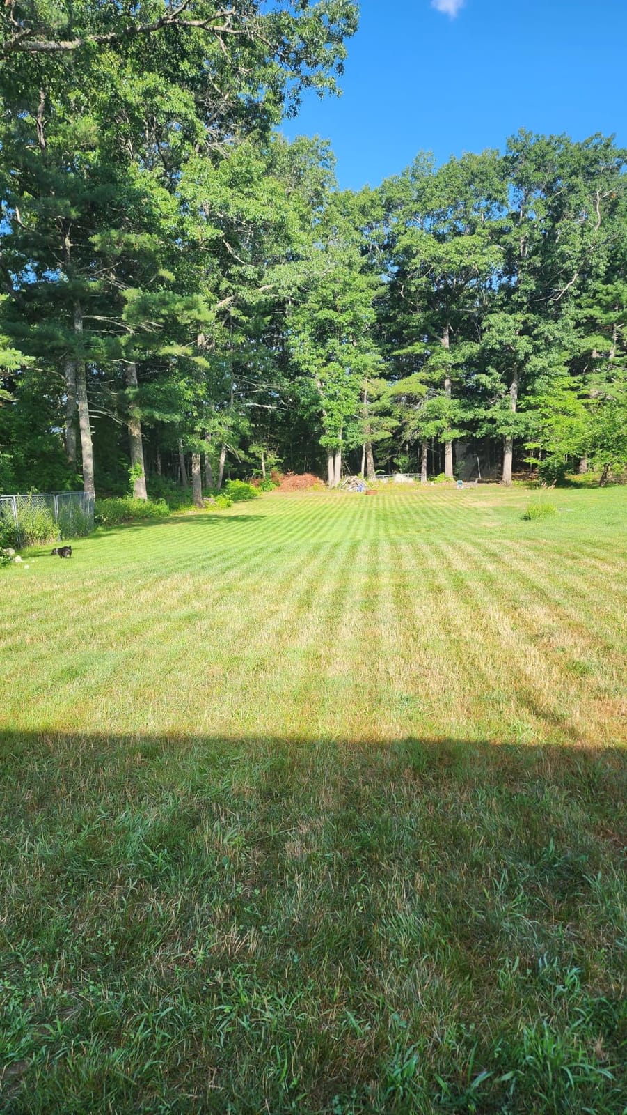 Husqvarna Automower 410iQ 1/2 Acre Wire-Free Robot Lawn Mower with EPOS, App-Set Virtual Zones, 45% Slopes, 4-Year Warranty customer photo 1