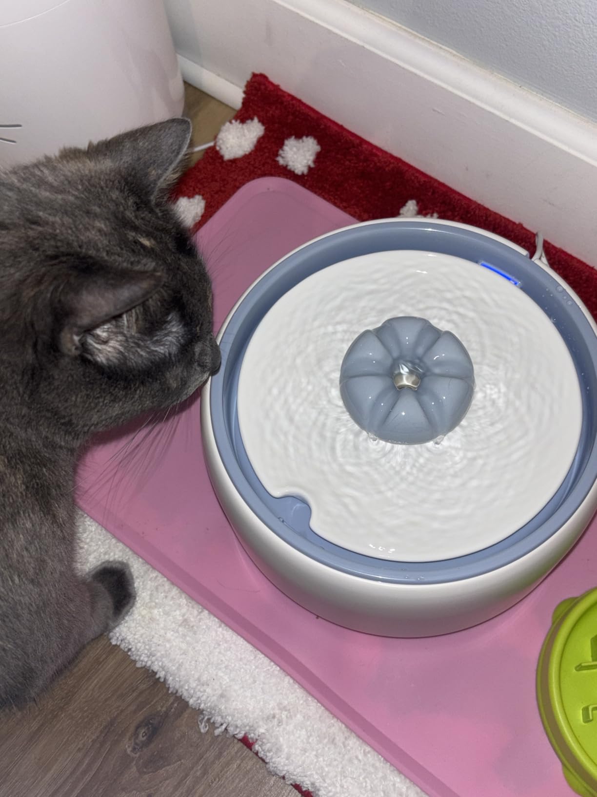 WOPET Premium Ceramic Cat Water Fountain W03 Lite, 3L/101oz Automatic Pet Water Fountain for Cats & Dogs, Dishwasher Safe, Luxury Cat Fountain with Ultra-Quiet Pump and Filter & Sponge customer photo 2