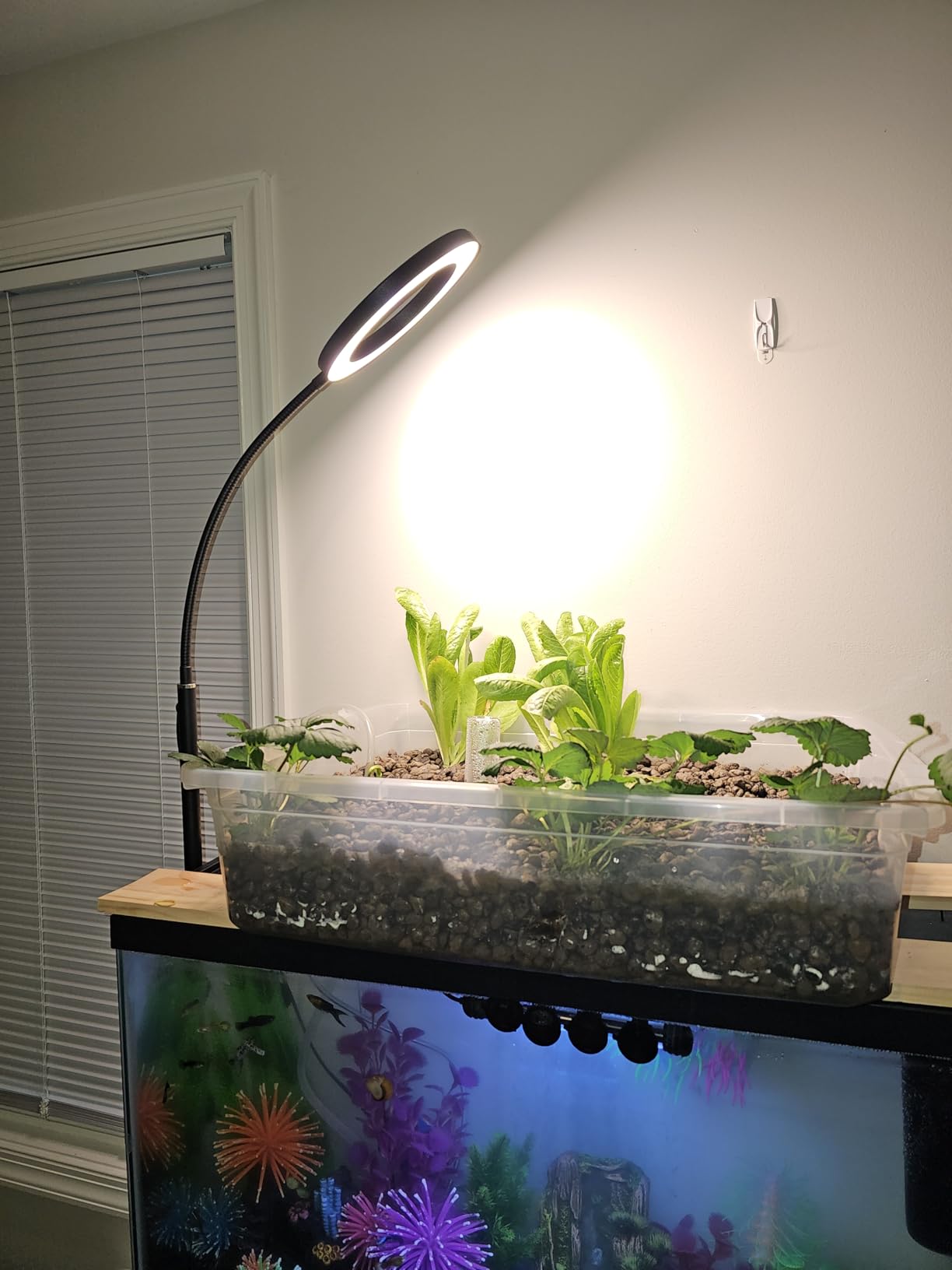 GLOWRIUM Tall Plant Grow Light for Indoor Plants, Full Spectrum Plant Light | 48W LED Grow Lamp with Dual Heads, 23.5-71