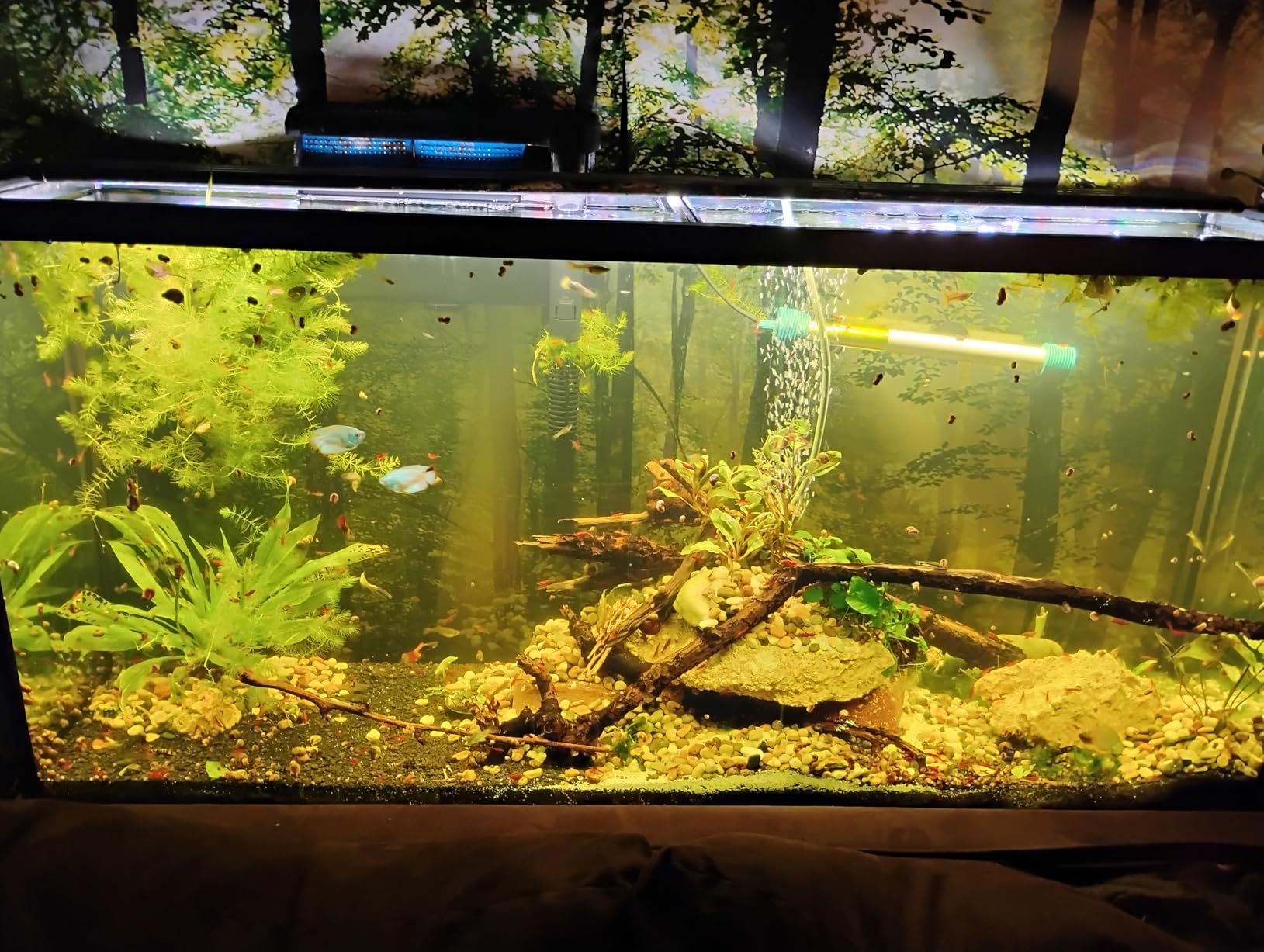 SEAOURA WRGB DIY Aquarium Plant Light with Temp Alarm for 30-36in Fish Tank, High PAR Full Spectrum, 9 Colors+20 Dimming, 3 Timers+Memory, Temp Alarm, Adjustable Bracket, Aluminum Shell (SR-659) customer photo 2