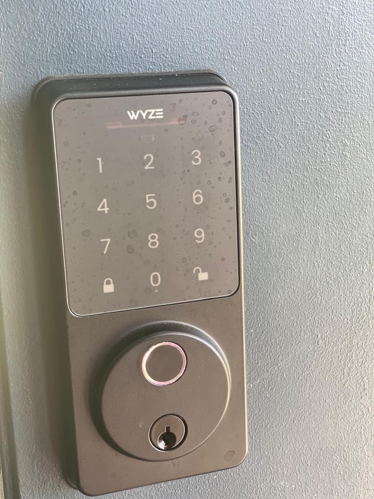 Wyze Auto-Lock Bolt v2, Fingerprint Keyless Entry Smart Lock, AI Learning Scanner with Wi-Fi Front Door Lock Deadbolt, Auto-Lock, 8 Months Battery, BHMA2, IP53, Anti-Peep Keypad, Backup Keys customer photo 1