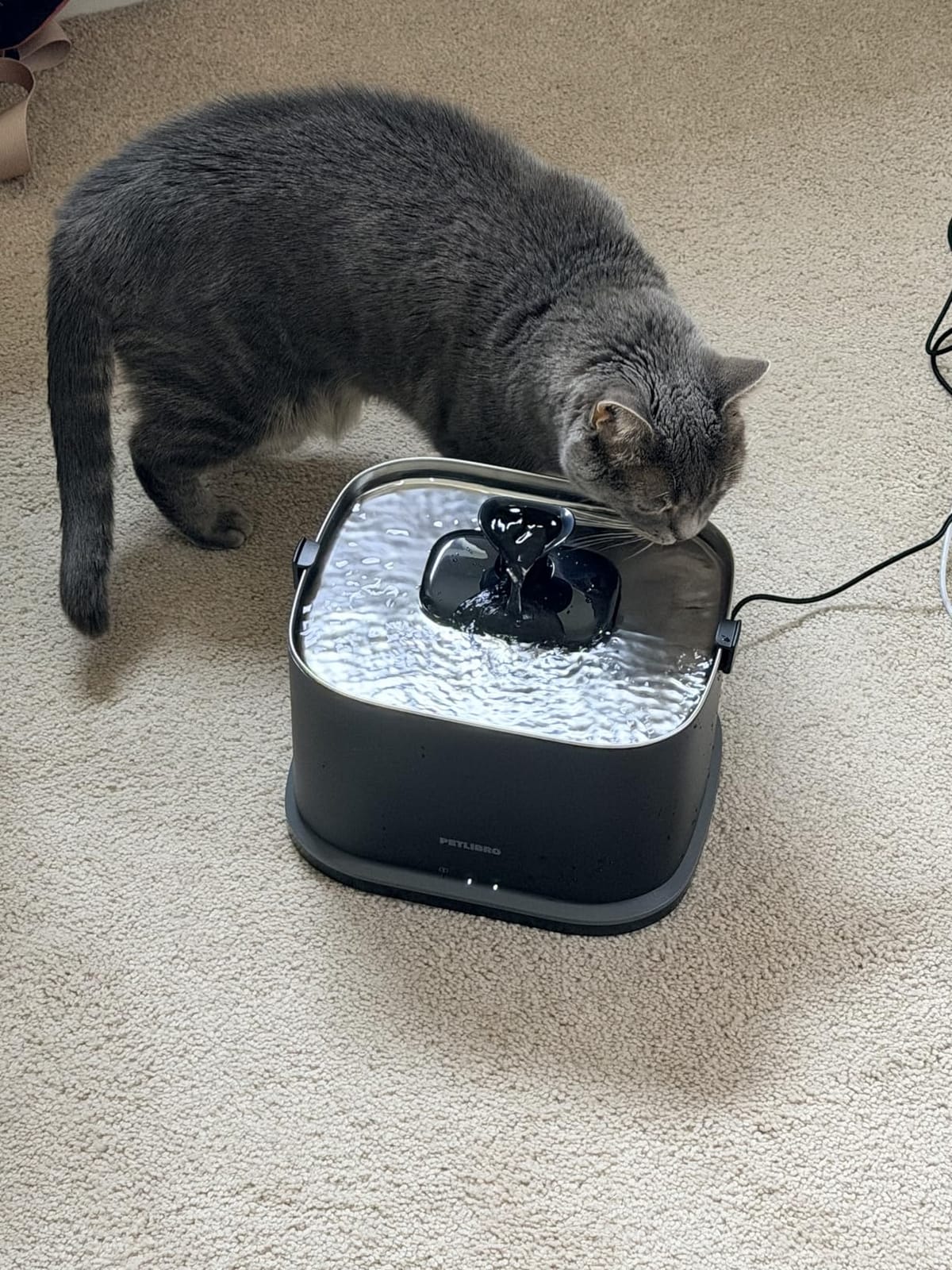 PETLIBRO Upgrade Cat Water Fountain Stainless Steel Tray, Dockstream 2 Cat Fountain Indoor, 3L/101oz Auto Cat Fountains for Drinking, App Monitoring Pet Water Fountain Dog, 5G WiFi Cat Water Dispenser customer photo 2