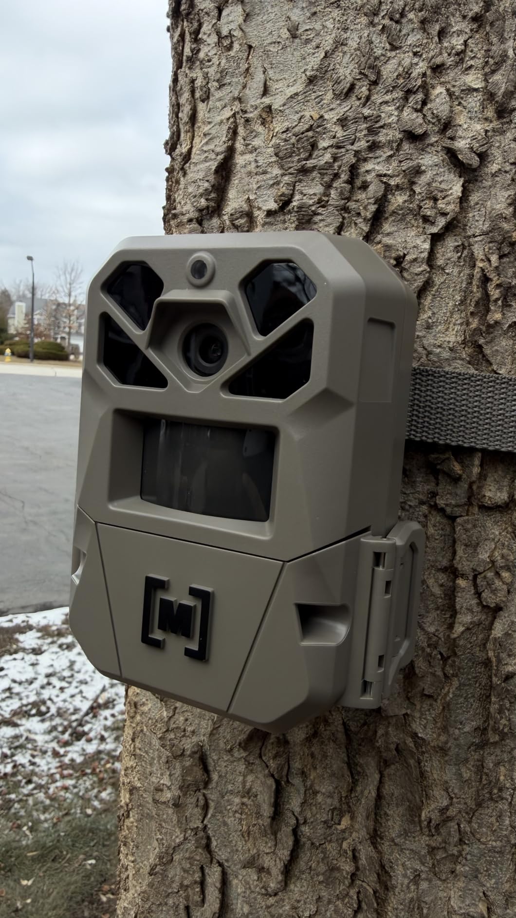 Moultrie Edge 3 PRO Cellular Trail Camera - 50MP Image Sensor - 1440p QHD Video with Audio - AI Buck Detection - GPS - 0.3s Trigger - No-Glow Flash customer photo 1