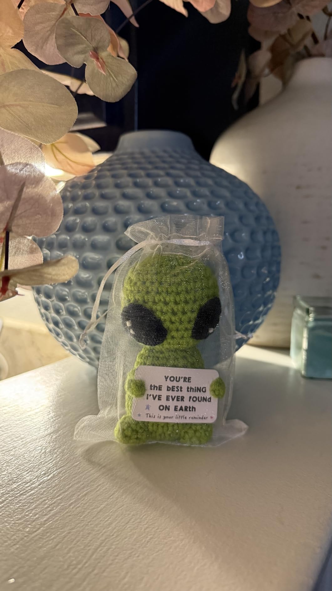 Gifts for Him Her Boyfriend Girlfriend Crochet Alien Valentine's Day Anniversary Birthday Funny Romantic Gift for My Love Men Women Wife Husband Fathers day customer photo 1