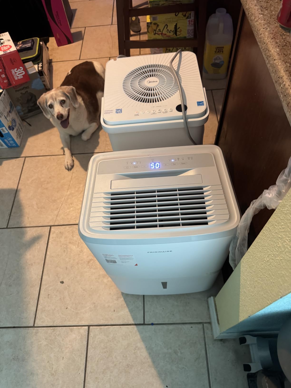 Frigidaire 50 Pint Dehumidifier w/Wifi customer photo 1