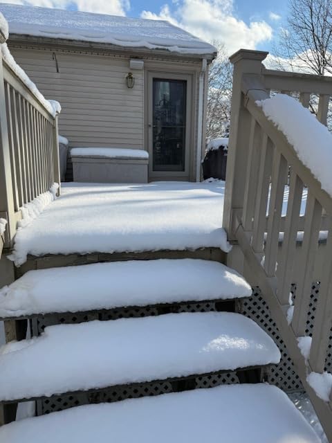 DEGGE Electric Cordless Snow Shovel, 2X 3.0Ah/ 21V/ 12-Inch Battery | Snow Blower with Directional Plate & Adjustable Front Handle, Snow Removal for Driveway Sidewalk, Steps, Patio (Charger Included) customer photo 2