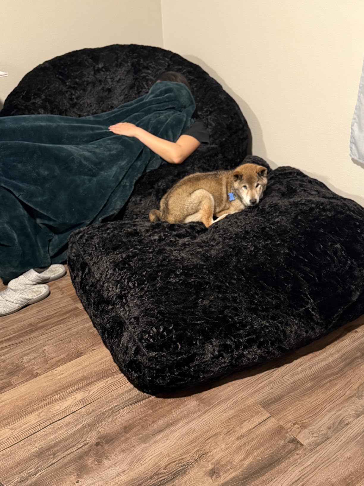 MAXYOYO Giant Bean Bag Chair for Adults, Oversized Shell Shape Bean Bag, Faux Fur Large Chair with Filler, Stuffed Big Lounge Floor Sofa for Bedroom Living Room Reading, Cream Beige customer photo 2