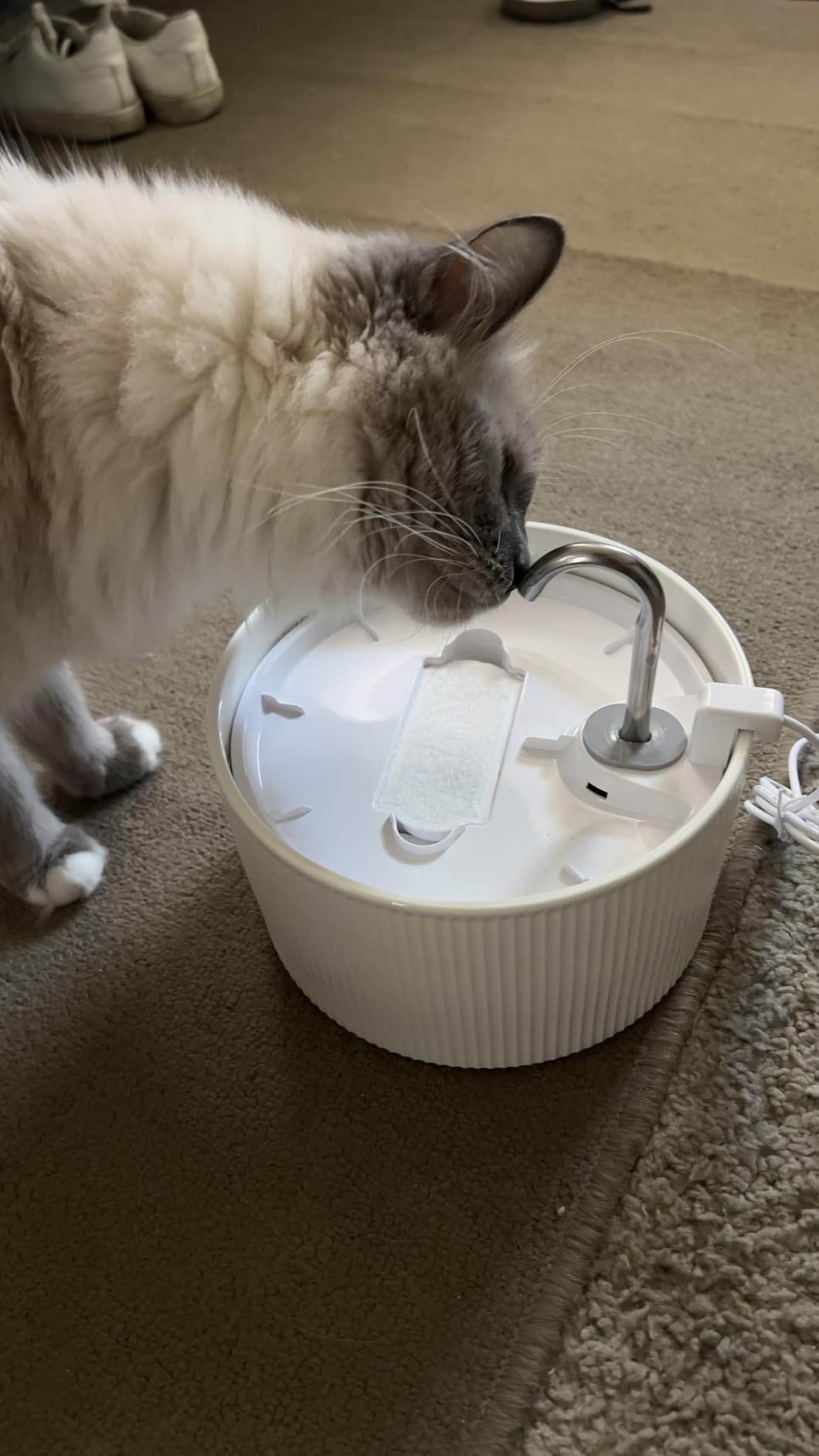 Voluas 2.2L Ceramic Cat Water Fountain with 1 Filter Automatic Pet Fountain | 74oz capacity, ceramic bowl, 4-layer filtration, ultra-quiet pump, faucet and bubbling modes, easy to clean, dishwasher-safe customer photo 2